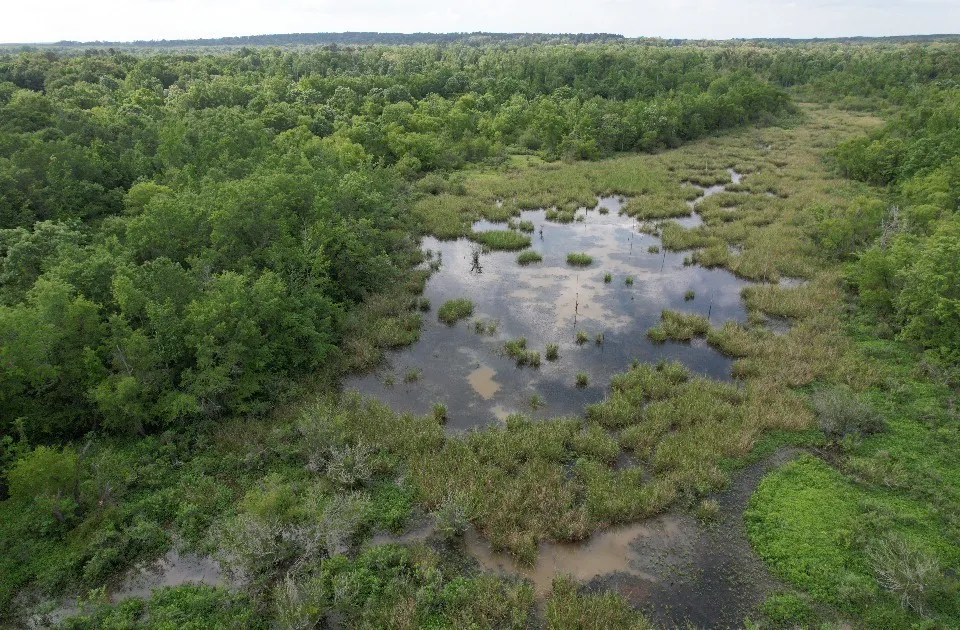 Unimproved Land For Sale in Upshur County , TBD HWY 259, Diana, Texas 75640, 0, 0, Garage spaces, 0 Sqft, built in 0, Price $474,750, mls#21274744, Real Estate Agent in Diana, Homes For Sale in Upshur county, Homes For Sale in Diana, Realtor in Diana Texas, Real Estate Brokerage Independent Realty Texas, Luminita Cordes Realtor