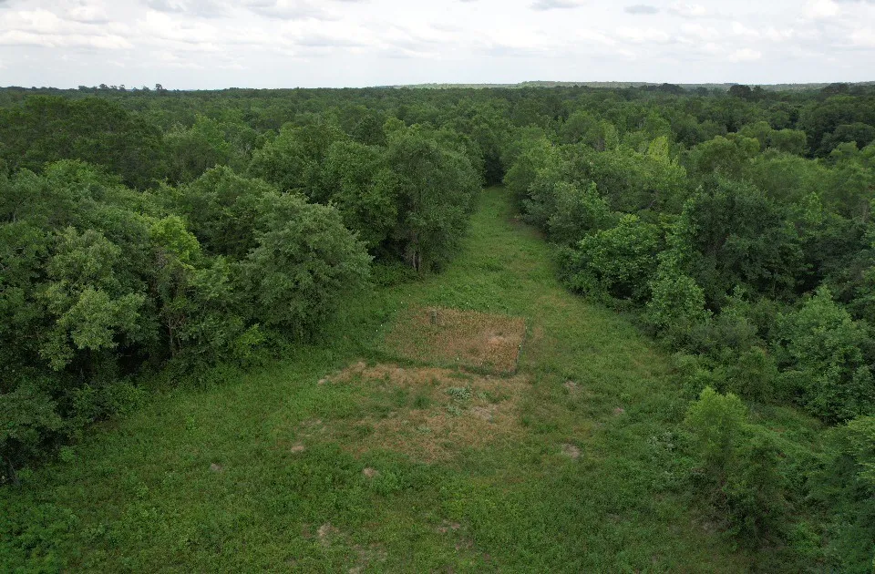 Unimproved Land For Sale in Upshur County , TBD HWY 259, Diana, Texas 75640, 0, 0, Garage spaces, 0 Sqft, built in 0, Price $474,750, mls#21274744, Real Estate Agent in Diana, Homes For Sale in Upshur county, Homes For Sale in Diana, Realtor in Diana Texas, Real Estate Brokerage Independent Realty Texas, Luminita Cordes Realtor