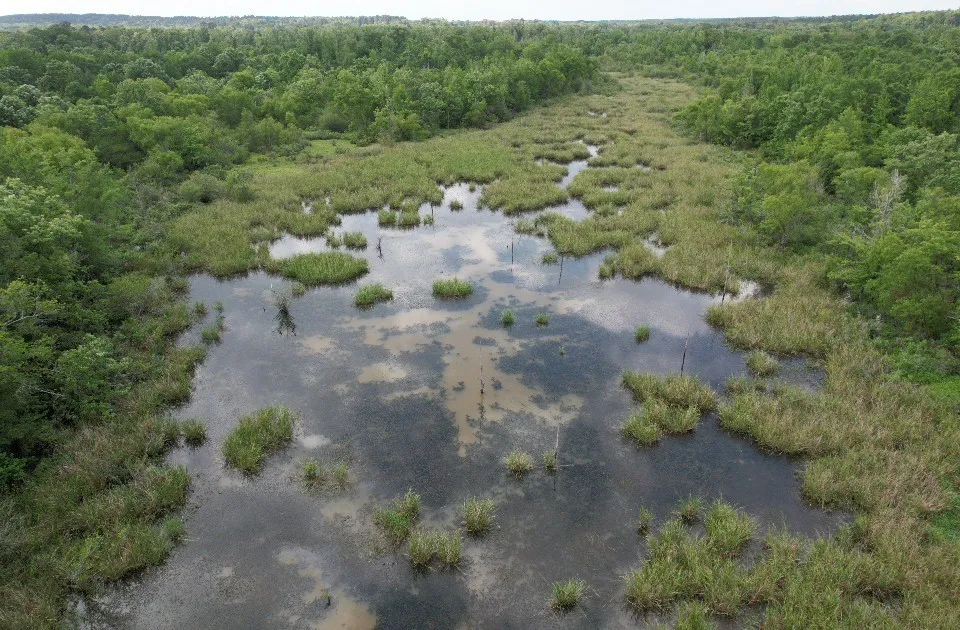 Unimproved Land For Sale in Upshur County , TBD HWY 259, Diana, Texas 75640, 0, 0, Garage spaces, 0 Sqft, built in 0, Price $474,750, mls#21274744, Real Estate Agent in Diana, Homes For Sale in Upshur county, Homes For Sale in Diana, Realtor in Diana Texas, Real Estate Brokerage Independent Realty Texas, Luminita Cordes Realtor