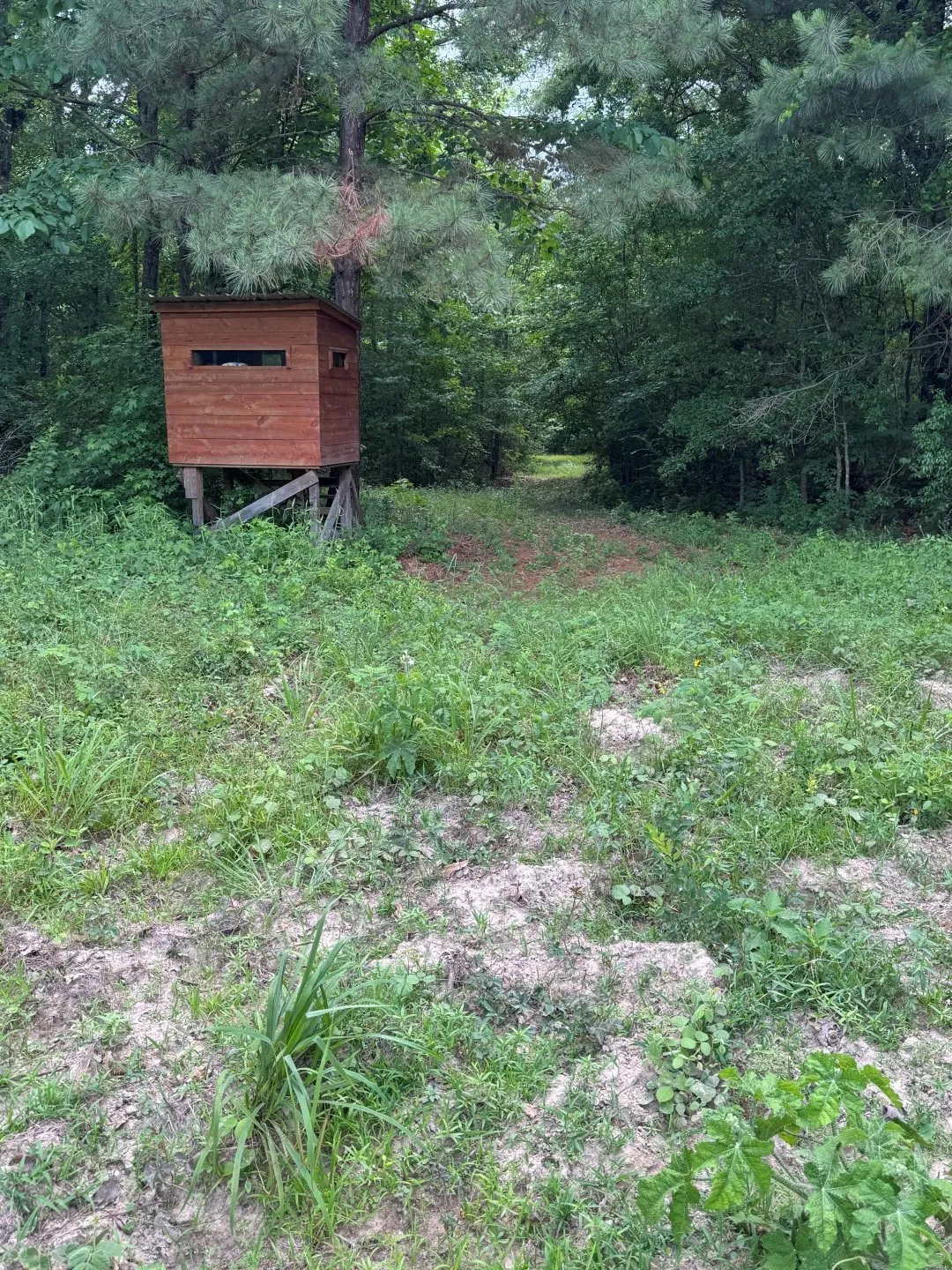 Unimproved Land For Sale in Upshur County , TBD HWY 259, Diana, Texas 75640, 0, 0, Garage spaces, 0 Sqft, built in 0, Price $474,750, mls#21274744, Real Estate Agent in Diana, Homes For Sale in Upshur county, Homes For Sale in Diana, Realtor in Diana Texas, Real Estate Brokerage Independent Realty Texas, Luminita Cordes Realtor