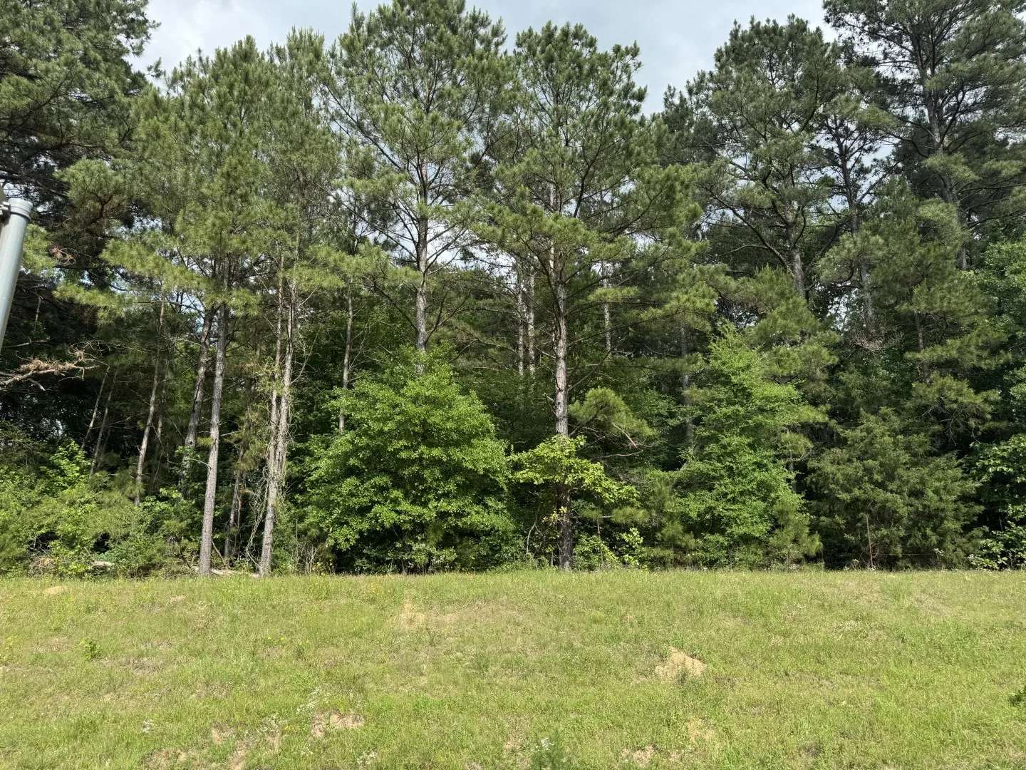 Unimproved Land For Sale in Upshur County , TBD HWY 259, Diana, Texas 75640, 0, 0, Garage spaces, 0 Sqft, built in 0, Price $474,750, mls#21274744, Real Estate Agent in Diana, Homes For Sale in Upshur county, Homes For Sale in Diana, Realtor in Diana Texas, Real Estate Brokerage Independent Realty Texas, Luminita Cordes Realtor