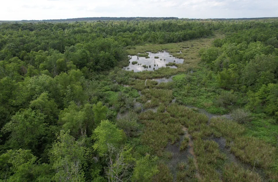 Unimproved Land For Sale in Upshur County , TBD HWY 259, Diana, Texas 75640, 0, 0, Garage spaces, 0 Sqft, built in 0, Price $474,750, mls#21274744, Real Estate Agent in Diana, Homes For Sale in Upshur county, Homes For Sale in Diana, Realtor in Diana Texas, Real Estate Brokerage Independent Realty Texas, Luminita Cordes Realtor