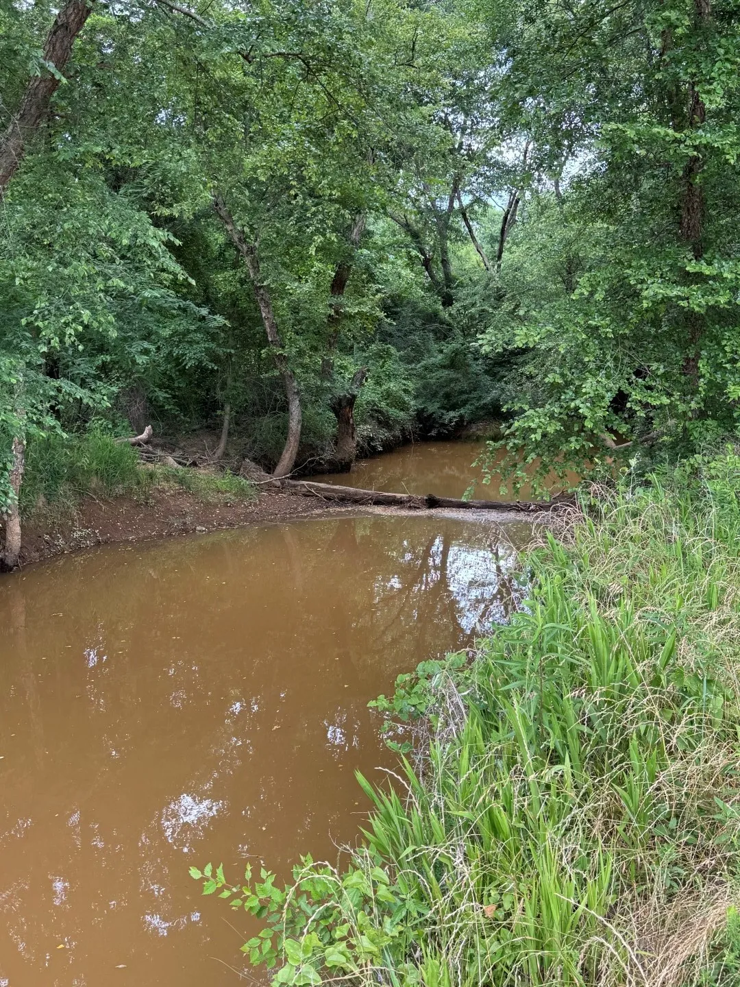 Unimproved Land For Sale in Upshur County , TBD HWY 259, Diana, Texas 75640, 0, 0, Garage spaces, 0 Sqft, built in 0, Price $474,750, mls#21274744, Real Estate Agent in Diana, Homes For Sale in Upshur county, Homes For Sale in Diana, Realtor in Diana Texas, Real Estate Brokerage Independent Realty Texas, Luminita Cordes Realtor