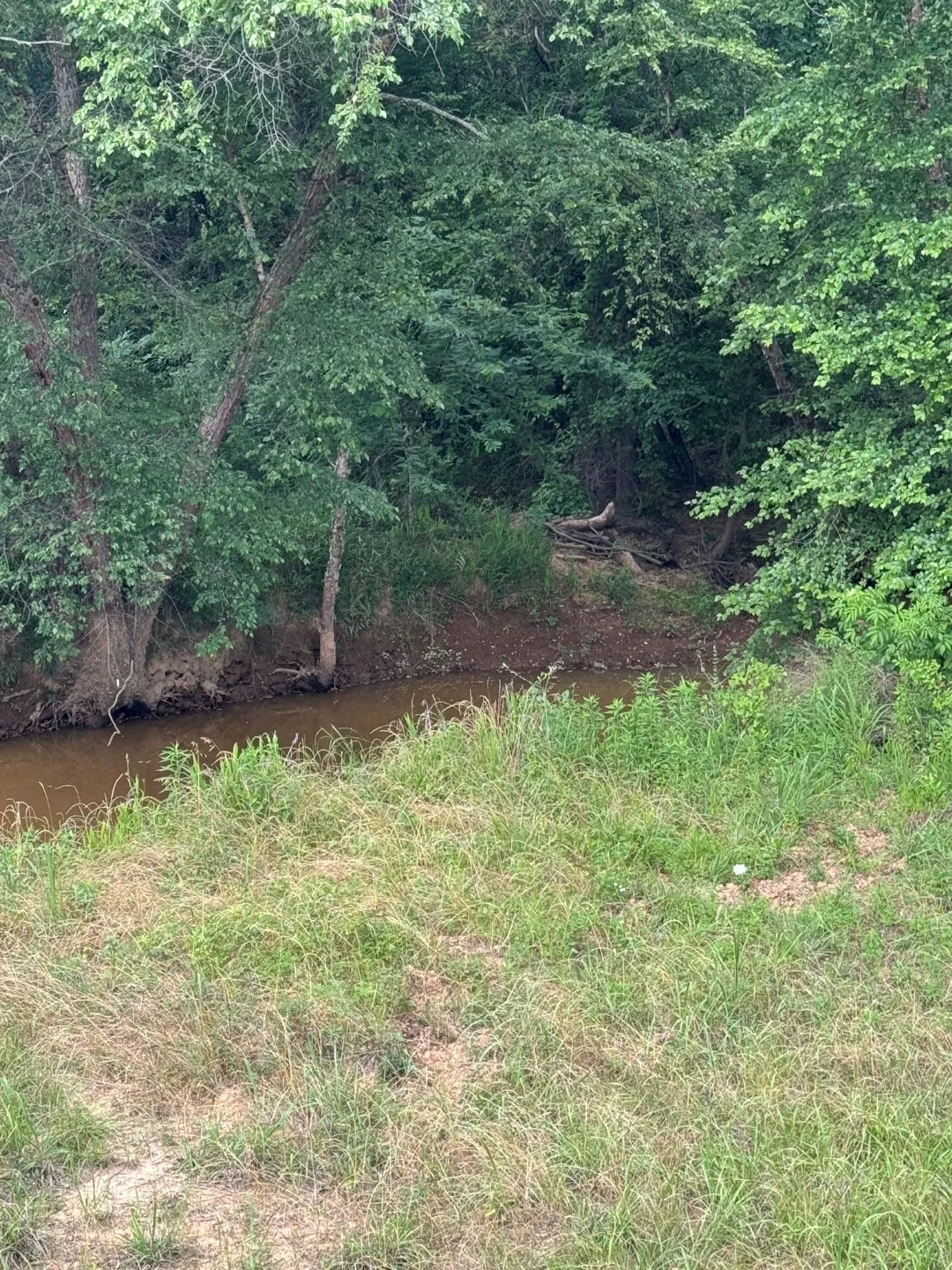Unimproved Land For Sale in Upshur County , TBD HWY 259, Diana, Texas 75640, 0, 0, Garage spaces, 0 Sqft, built in 0, Price $474,750, mls#21274744, Real Estate Agent in Diana, Homes For Sale in Upshur county, Homes For Sale in Diana, Realtor in Diana Texas, Real Estate Brokerage Independent Realty Texas, Luminita Cordes Realtor