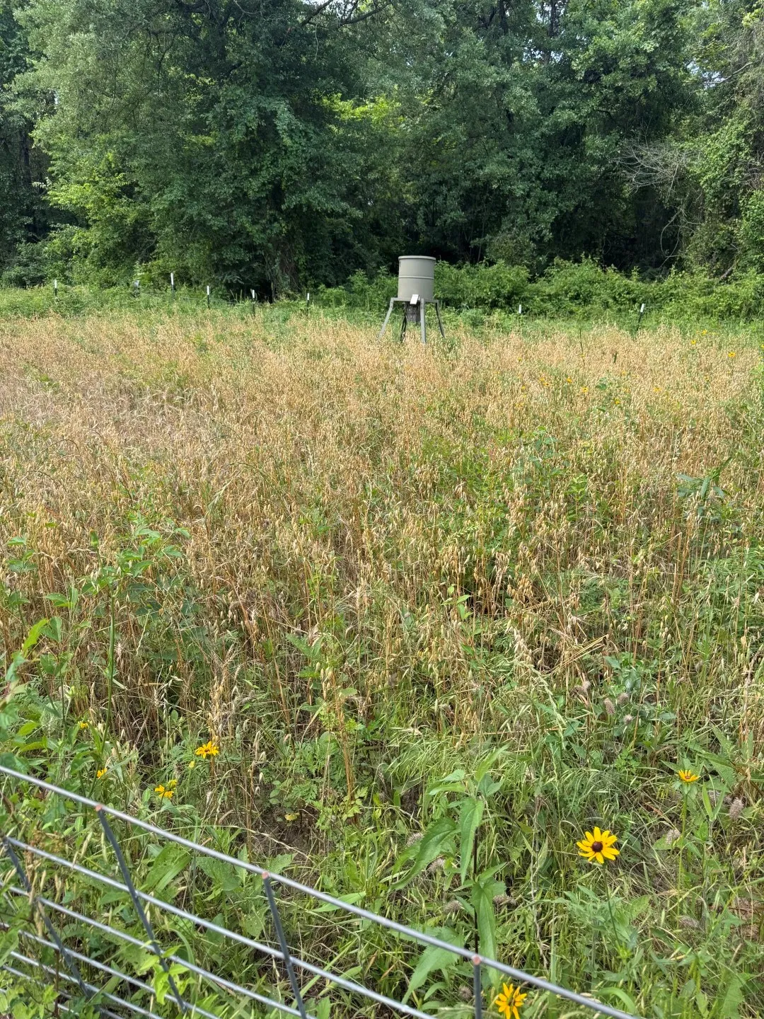 Unimproved Land For Sale in Upshur County , TBD HWY 259, Diana, Texas 75640, 0, 0, Garage spaces, 0 Sqft, built in 0, Price $474,750, mls#21274744, Real Estate Agent in Diana, Homes For Sale in Upshur county, Homes For Sale in Diana, Realtor in Diana Texas, Real Estate Brokerage Independent Realty Texas, Luminita Cordes Realtor