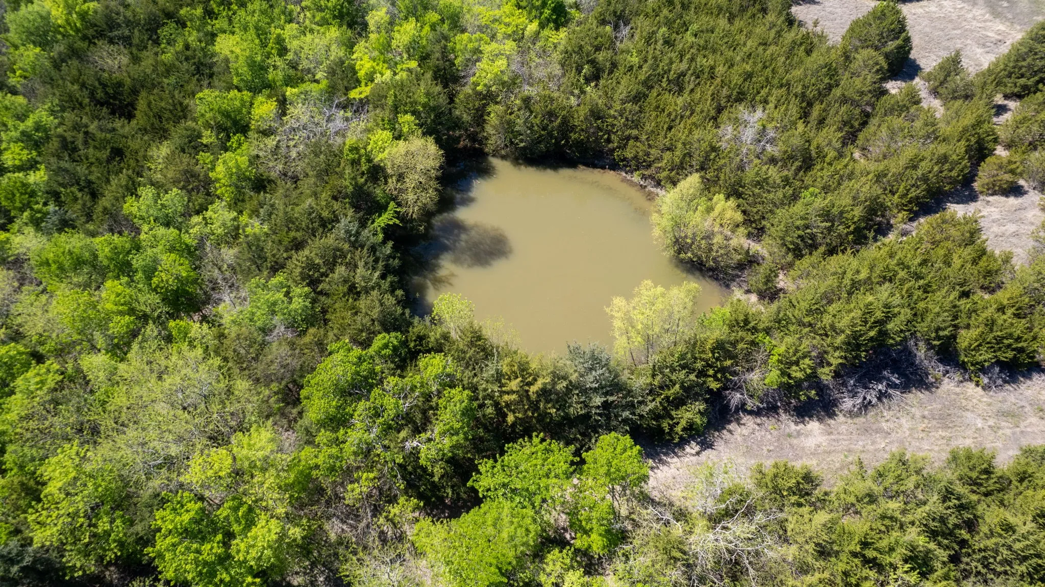 Unimproved Land For Sale in Fannin County , TBD County Road 5020 Road OF, Blue Ridge, Texas 75424, 0, 0, Garage spaces, 0 Sqft, built in 0, Price $3,550,000, mls#21274743, Real Estate Agent in Blue Ridge, Homes For Sale in Fannin county, Homes For Sale in Blue Ridge, Realtor in Blue Ridge Texas, Real Estate Brokerage Independent Realty Texas, Luminita Cordes Realtor