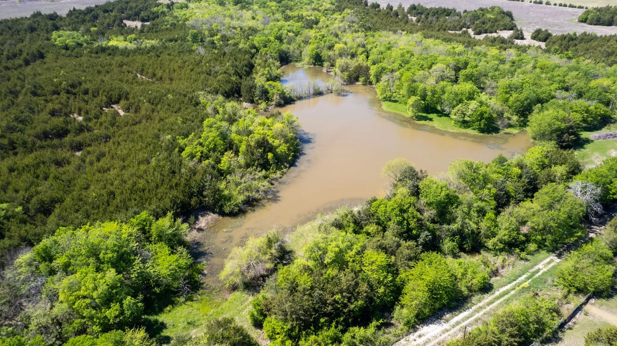 Unimproved Land For Sale in Fannin County , TBD County Road 5020 Road OF, Blue Ridge, Texas 75424, 0, 0, Garage spaces, 0 Sqft, built in 0, Price $3,550,000, mls#21274743, Real Estate Agent in Blue Ridge, Homes For Sale in Fannin county, Homes For Sale in Blue Ridge, Realtor in Blue Ridge Texas, Real Estate Brokerage Independent Realty Texas, Luminita Cordes Realtor