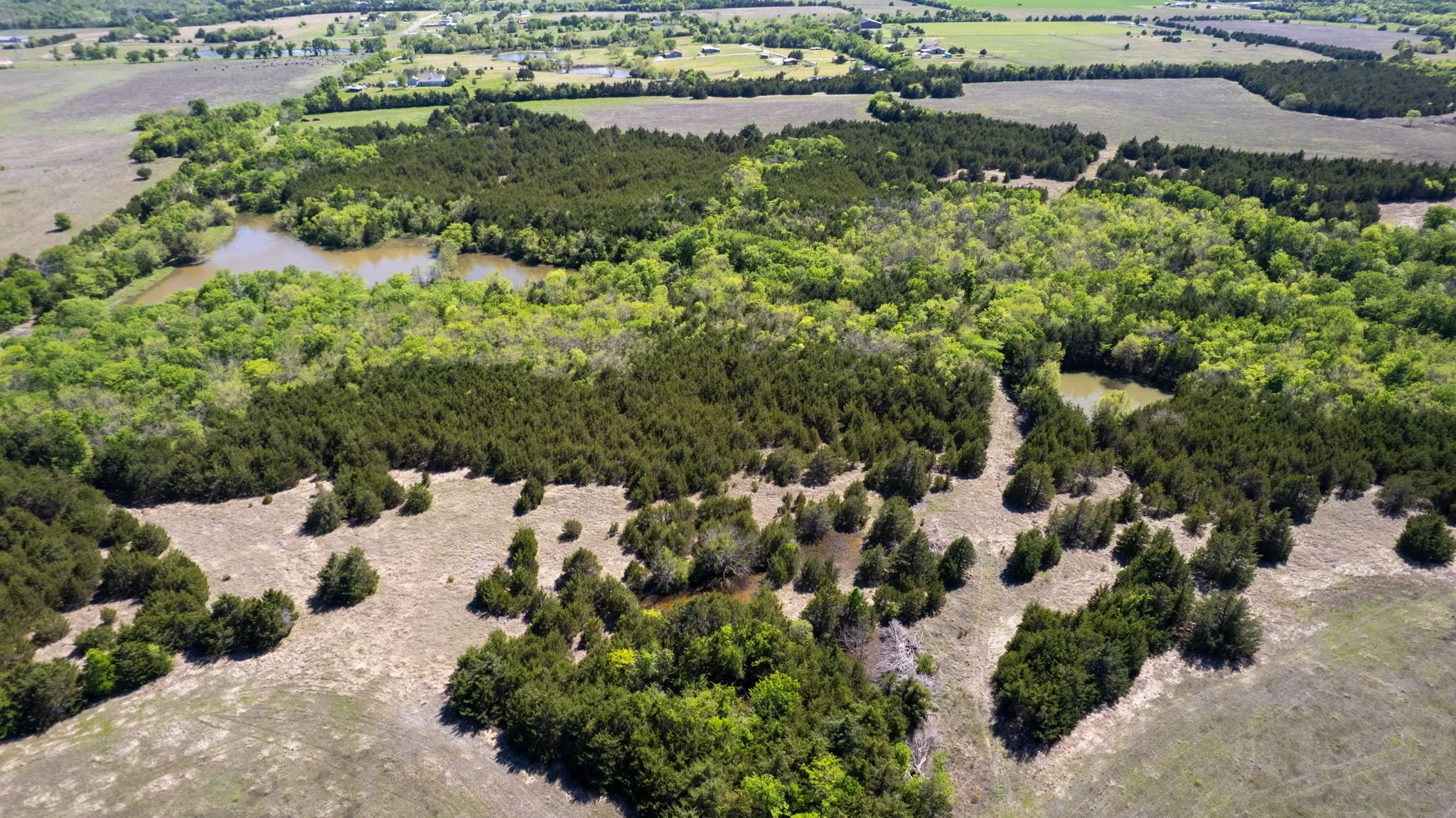 Unimproved Land For Sale in Fannin County , TBD County Road 5020 Road OF, Blue Ridge, Texas 75424, 0, 0, Garage spaces, 0 Sqft, built in 0, Price $3,550,000, mls#21274743, Real Estate Agent in Blue Ridge, Homes For Sale in Fannin county, Homes For Sale in Blue Ridge, Realtor in Blue Ridge Texas, Real Estate Brokerage Independent Realty Texas, Luminita Cordes Realtor