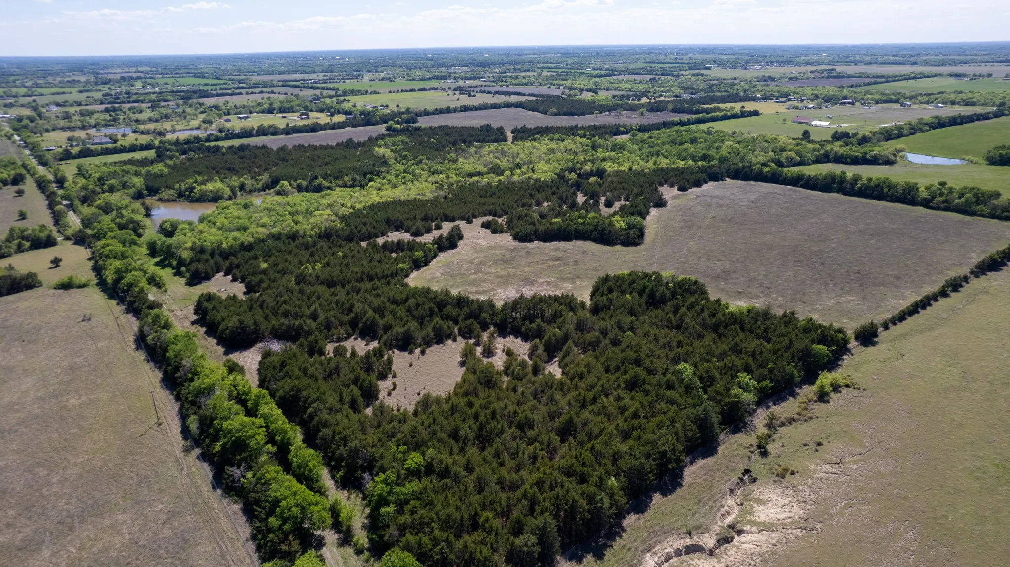 Unimproved Land For Sale in Fannin County , TBD County Road 5020 Road OF, Blue Ridge, Texas 75424, 0, 0, Garage spaces, 0 Sqft, built in 0, Price $3,550,000, mls#21274743, Real Estate Agent in Blue Ridge, Homes For Sale in Fannin county, Homes For Sale in Blue Ridge, Realtor in Blue Ridge Texas, Real Estate Brokerage Independent Realty Texas, Luminita Cordes Realtor
