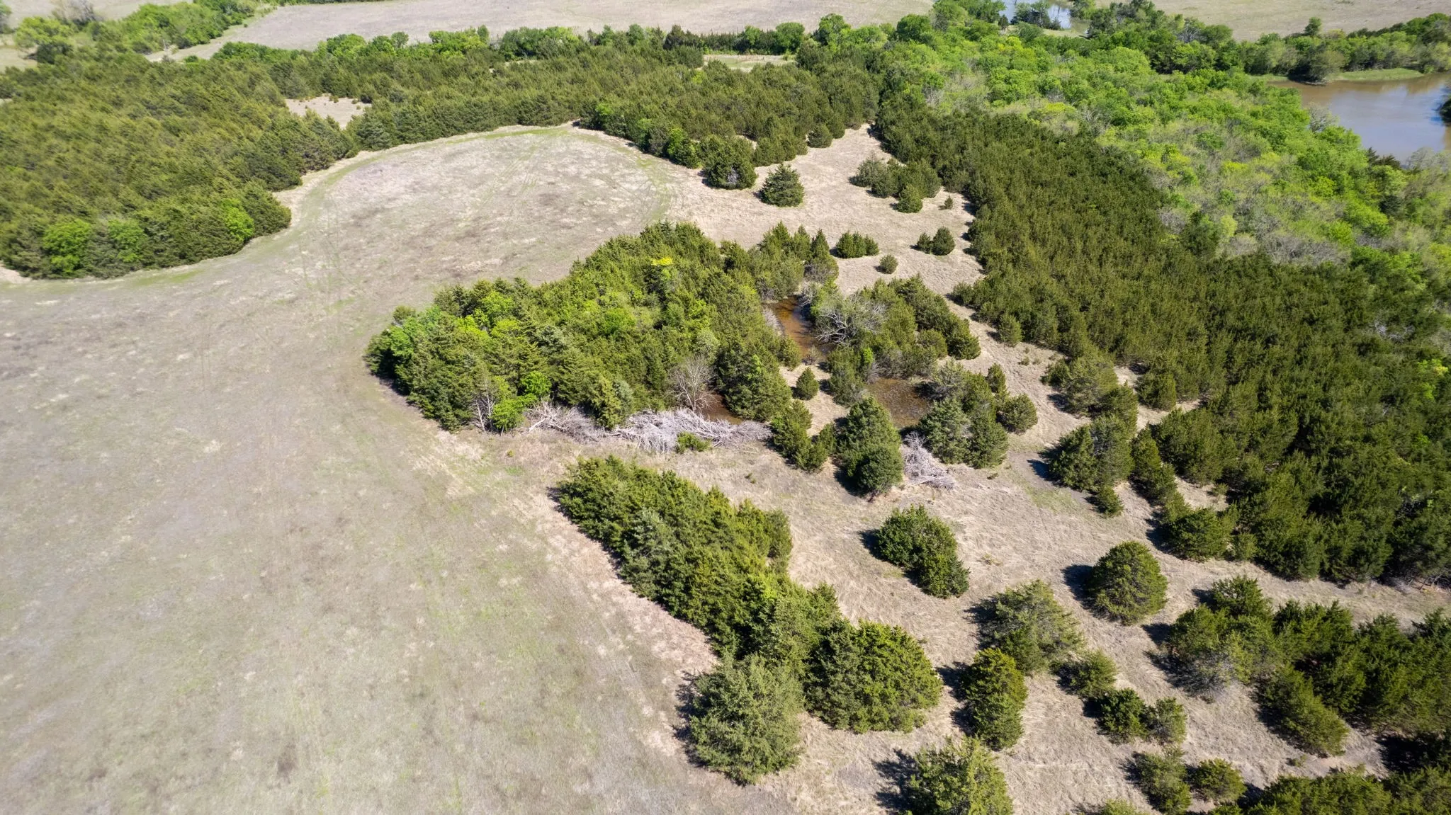 Unimproved Land For Sale in Fannin County , TBD County Road 5020 Road OF, Blue Ridge, Texas 75424, 0, 0, Garage spaces, 0 Sqft, built in 0, Price $3,550,000, mls#21274743, Real Estate Agent in Blue Ridge, Homes For Sale in Fannin county, Homes For Sale in Blue Ridge, Realtor in Blue Ridge Texas, Real Estate Brokerage Independent Realty Texas, Luminita Cordes Realtor
