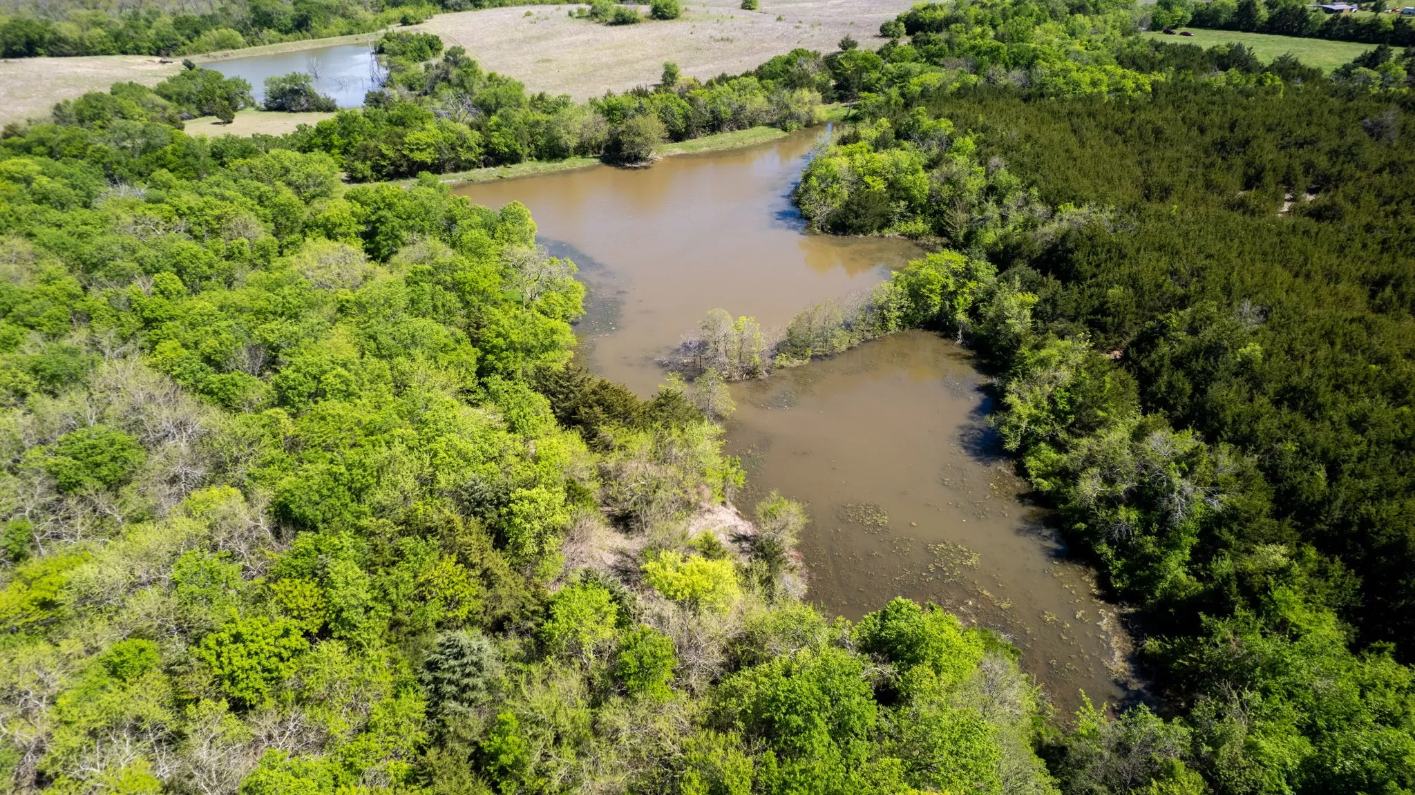 Unimproved Land For Sale in Fannin County , TBD County Road 5020 Road OF, Blue Ridge, Texas 75424, 0, 0, Garage spaces, 0 Sqft, built in 0, Price $3,550,000, mls#21274743, Real Estate Agent in Blue Ridge, Homes For Sale in Fannin county, Homes For Sale in Blue Ridge, Realtor in Blue Ridge Texas, Real Estate Brokerage Independent Realty Texas, Luminita Cordes Realtor
