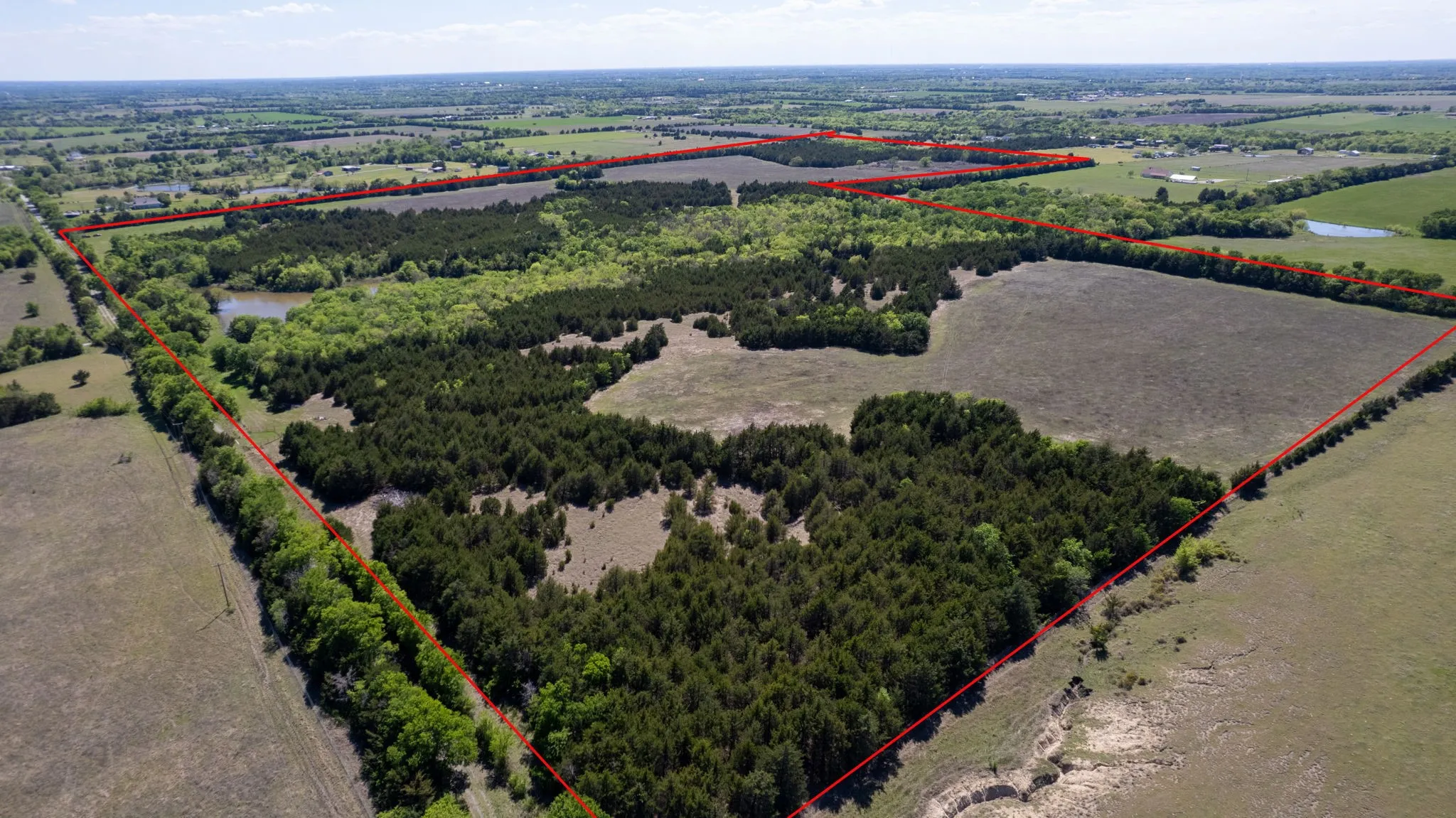 Unimproved Land For Sale in Fannin County , TBD County Road 5020 Road OF, Blue Ridge, Texas 75424, 0, 0, Garage spaces, 0 Sqft, built in 0, Price $3,550,000, mls#21274743, Real Estate Agent in Blue Ridge, Homes For Sale in Fannin county, Homes For Sale in Blue Ridge, Realtor in Blue Ridge Texas, Real Estate Brokerage Independent Realty Texas, Luminita Cordes Realtor
