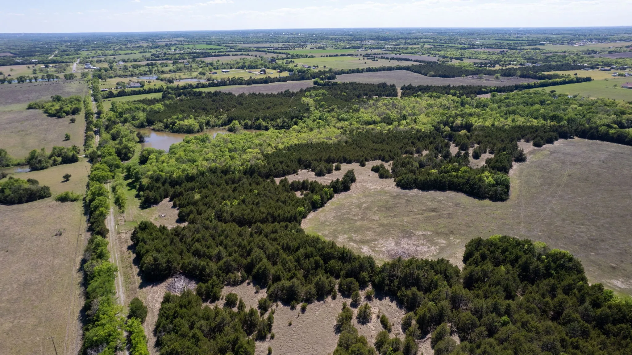Unimproved Land For Sale in Fannin County , TBD County Road 5020 Road OF, Blue Ridge, Texas 75424, 0, 0, Garage spaces, 0 Sqft, built in 0, Price $3,550,000, mls#21274743, Real Estate Agent in Blue Ridge, Homes For Sale in Fannin county, Homes For Sale in Blue Ridge, Realtor in Blue Ridge Texas, Real Estate Brokerage Independent Realty Texas, Luminita Cordes Realtor