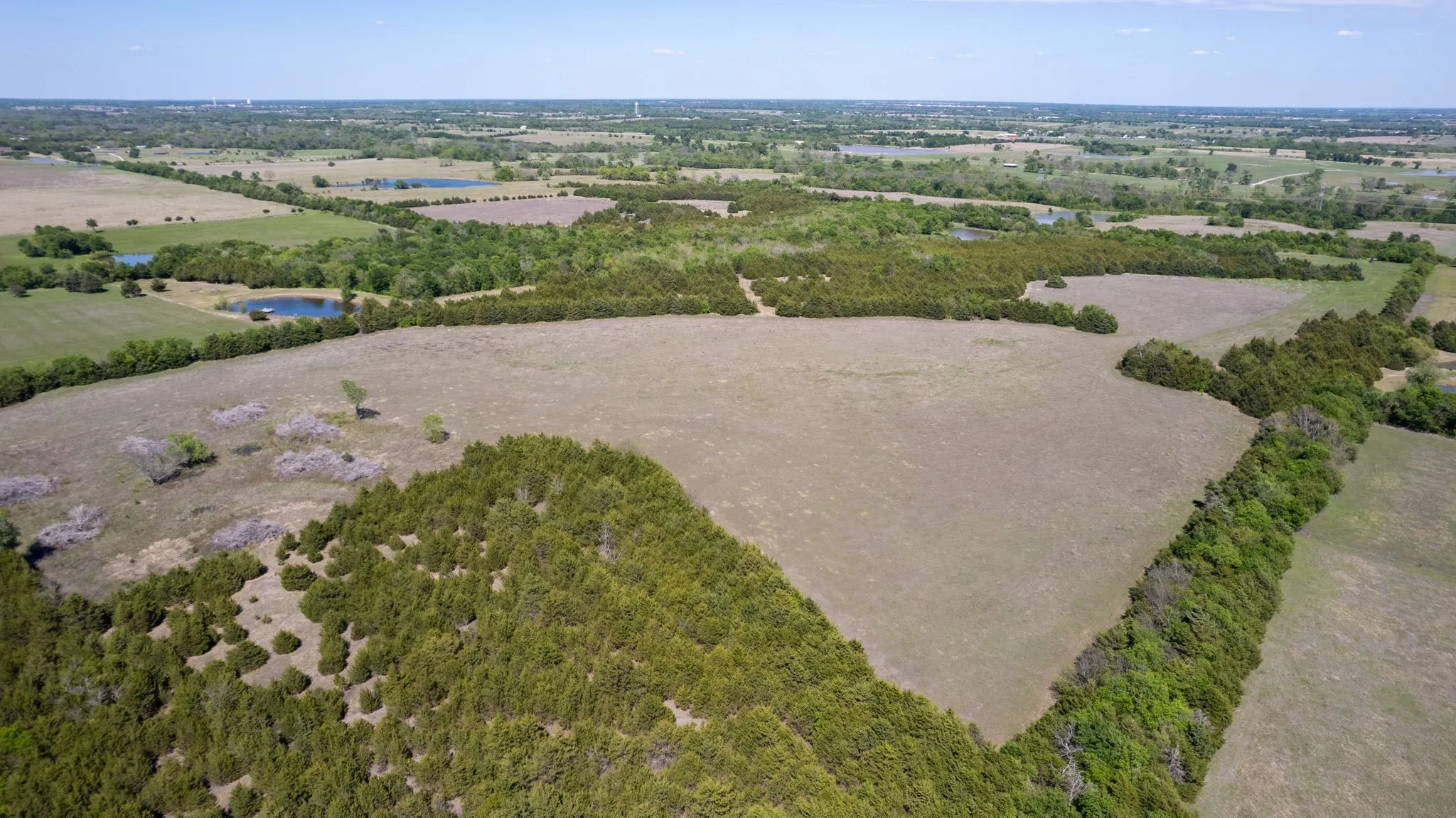 Unimproved Land For Sale in Fannin County , TBD County Road 5020 Road OF, Blue Ridge, Texas 75424, 0, 0, Garage spaces, 0 Sqft, built in 0, Price $3,550,000, mls#21274743, Real Estate Agent in Blue Ridge, Homes For Sale in Fannin county, Homes For Sale in Blue Ridge, Realtor in Blue Ridge Texas, Real Estate Brokerage Independent Realty Texas, Luminita Cordes Realtor