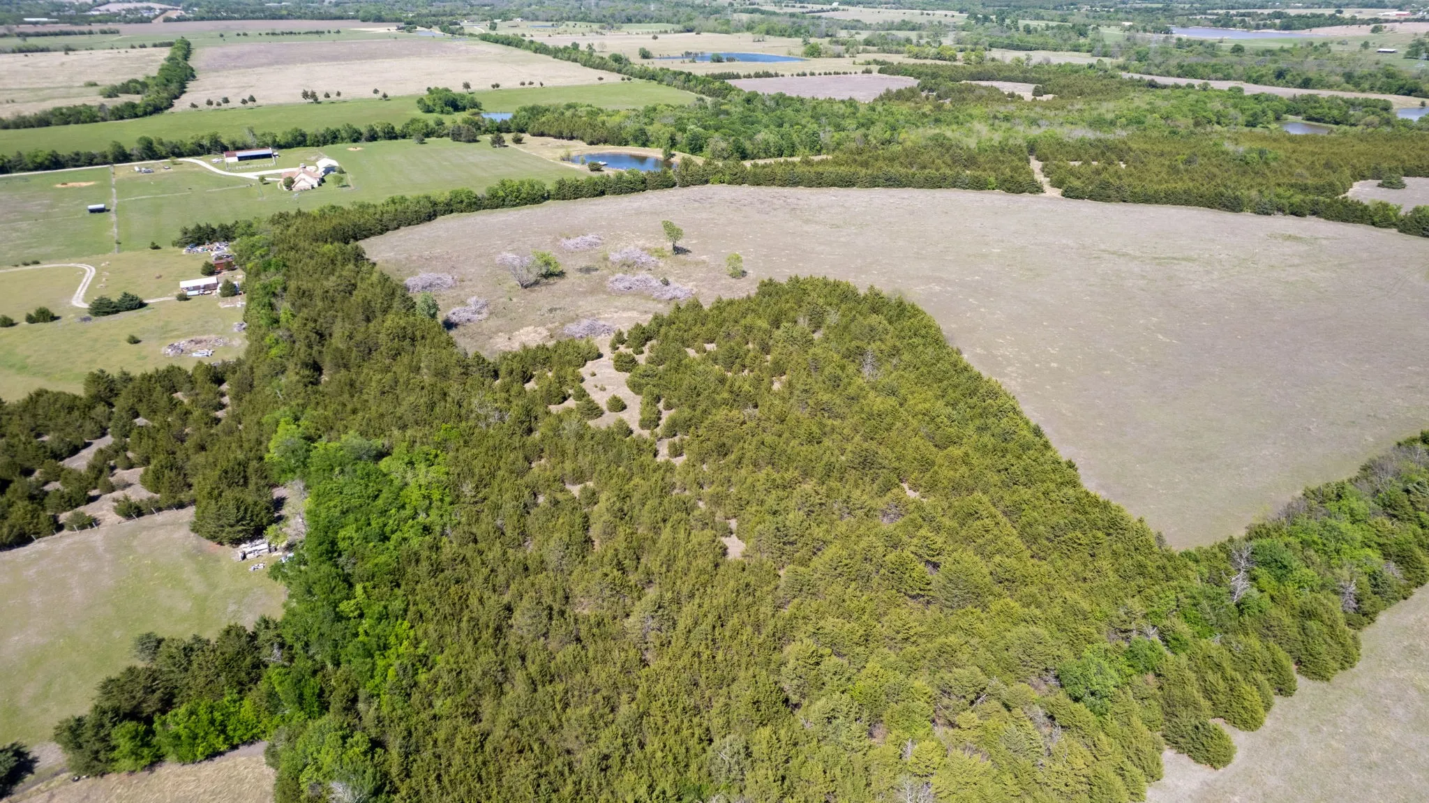 Unimproved Land For Sale in Fannin County , TBD County Road 5020 Road OF, Blue Ridge, Texas 75424, 0, 0, Garage spaces, 0 Sqft, built in 0, Price $3,550,000, mls#21274743, Real Estate Agent in Blue Ridge, Homes For Sale in Fannin county, Homes For Sale in Blue Ridge, Realtor in Blue Ridge Texas, Real Estate Brokerage Independent Realty Texas, Luminita Cordes Realtor