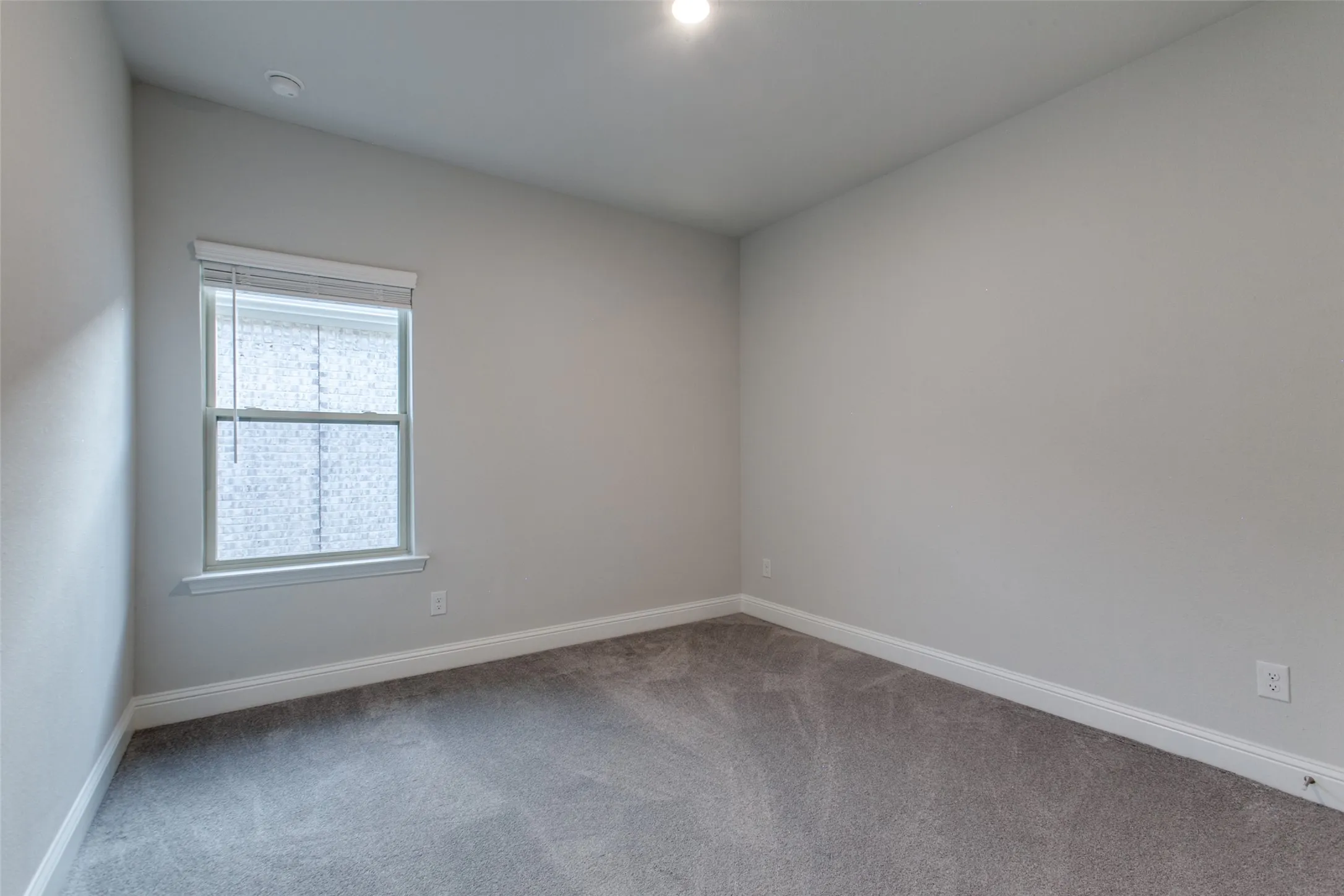 Neutral wall paint with white trim, gray carpet flooring, and a single window with blinds