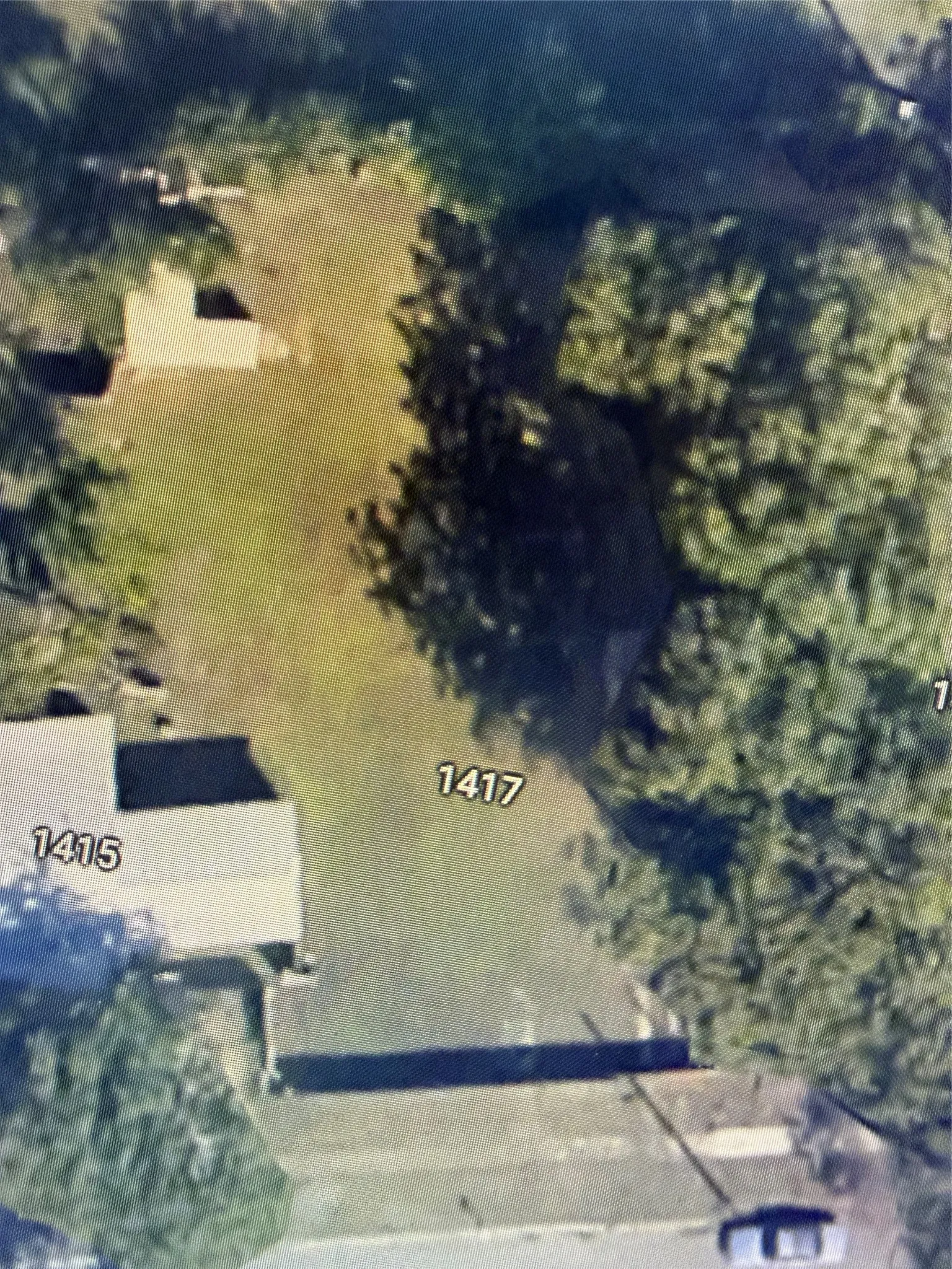Google map street view