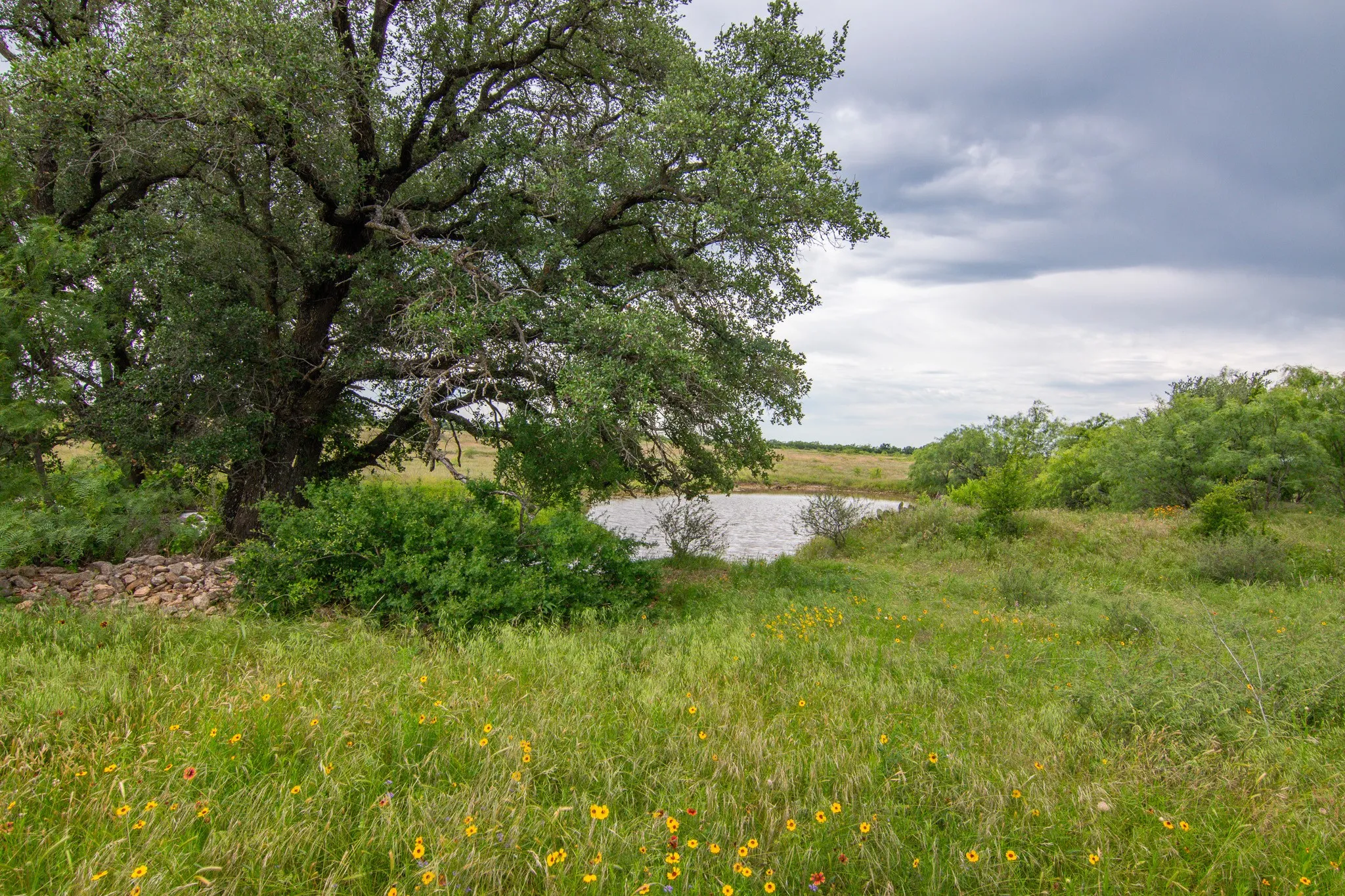 Farm For Sale in Brown County , 6187 Fm 586, Bangs, Texas 76823, 4 Bedroom, 3 Bathroom, 2 Garage spaces, 3,405 Sqft, built in 2007, mls#21274924, Real Estate Agent in Bangs, Homes For Sale in Brown county, Homes For Sale in Bangs, Realtor in Bangs Texas, Real Estate Brokerage Independent Realty Texas, Luminita Cordes Realtor