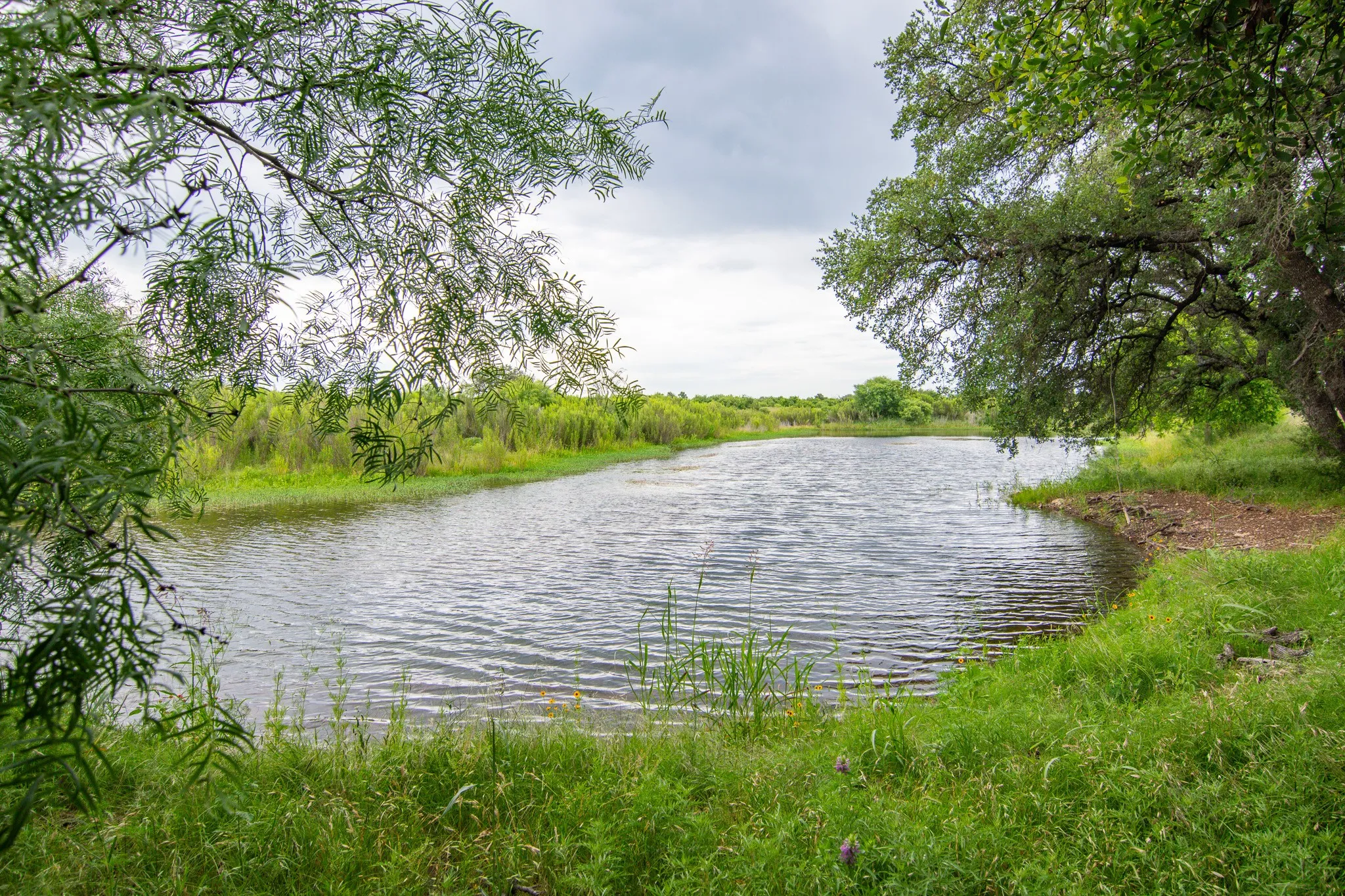 Farm For Sale in Brown County , 6187 Fm 586, Bangs, Texas 76823, 4 Bedroom, 3 Bathroom, 2 Garage spaces, 3,405 Sqft, built in 2007, mls#21274924, Real Estate Agent in Bangs, Homes For Sale in Brown county, Homes For Sale in Bangs, Realtor in Bangs Texas, Real Estate Brokerage Independent Realty Texas, Luminita Cordes Realtor