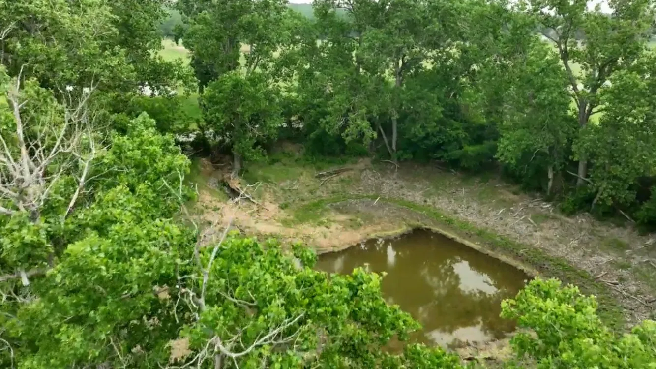 Unimproved Land For Sale in Eastland County , TBD County Rd 389, Gorman, Texas 76444, 0, 0, Garage spaces, 0 Sqft, built in 0, Price $310,830, mls#21274982, Real Estate Agent in Gorman, Homes For Sale in Eastland county, Homes For Sale in Gorman, Realtor in Gorman Texas, Real Estate Brokerage Independent Realty Texas, Luminita Cordes Realtor