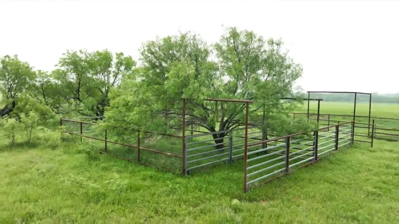 Unimproved Land For Sale in Eastland County , TBD County Rd 389, Gorman, Texas 76444, 0, 0, Garage spaces, 0 Sqft, built in 0, Price $310,830, mls#21274982, Real Estate Agent in Gorman, Homes For Sale in Eastland county, Homes For Sale in Gorman, Realtor in Gorman Texas, Real Estate Brokerage Independent Realty Texas, Luminita Cordes Realtor