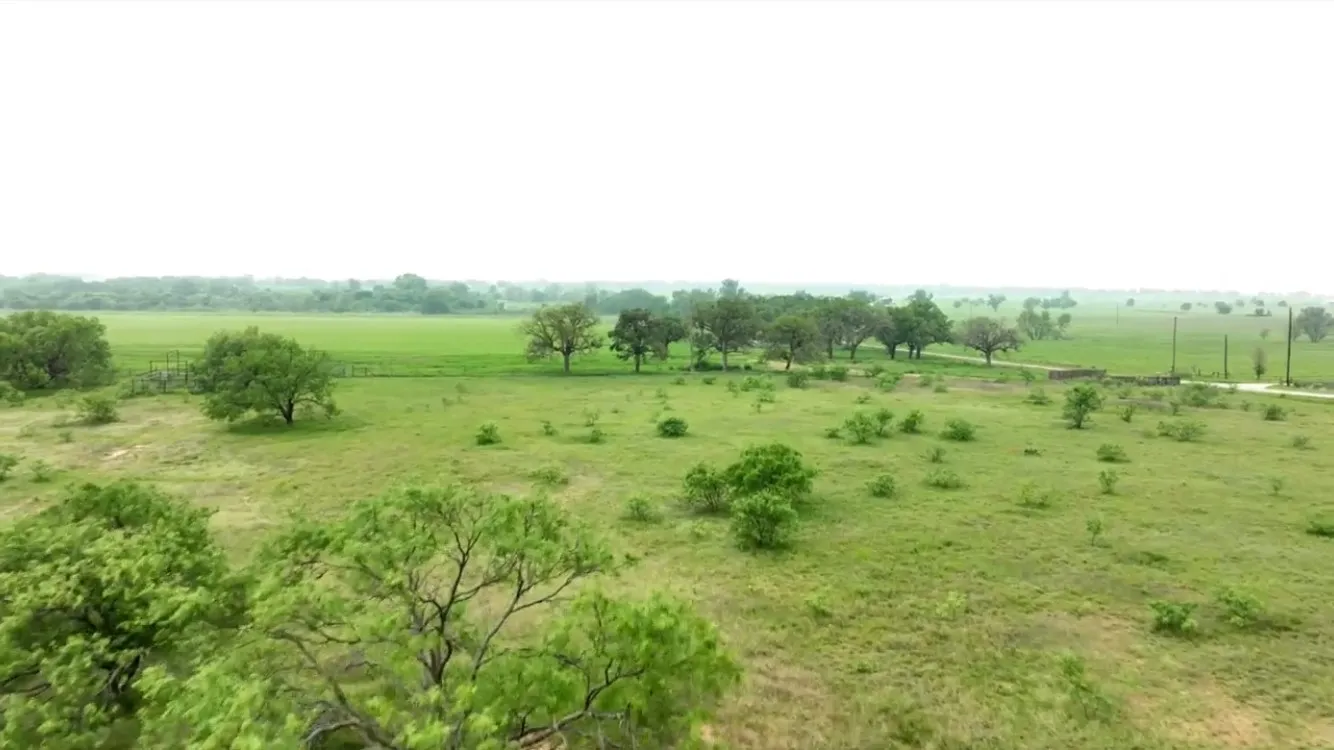 Unimproved Land For Sale in Eastland County , TBD County Rd 389, Gorman, Texas 76444, 0, 0, Garage spaces, 0 Sqft, built in 0, Price $310,830, mls#21274982, Real Estate Agent in Gorman, Homes For Sale in Eastland county, Homes For Sale in Gorman, Realtor in Gorman Texas, Real Estate Brokerage Independent Realty Texas, Luminita Cordes Realtor