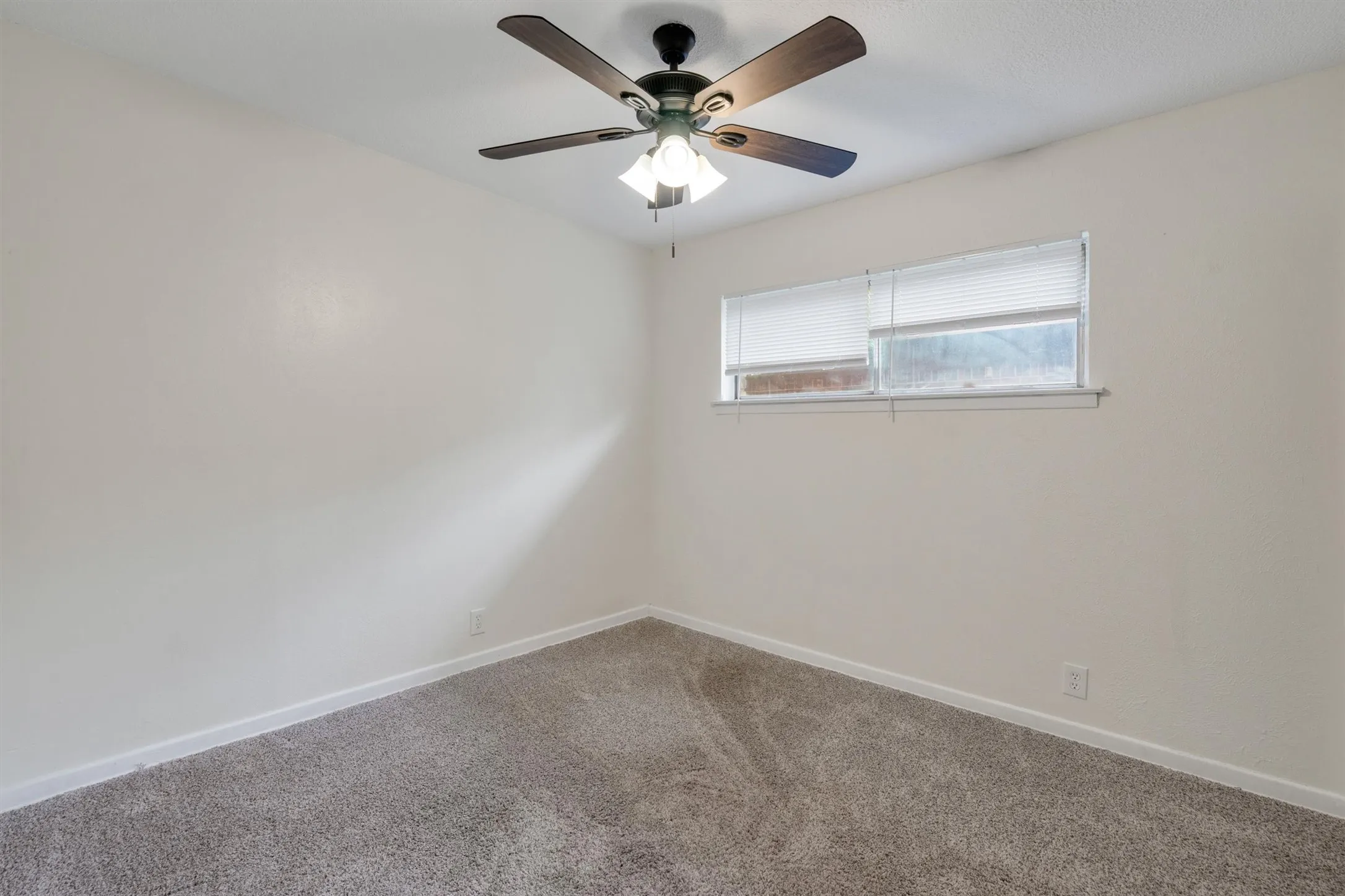 Neutral wall color, plush carpeting, ceiling fan with integrated lighting, and window with blinds