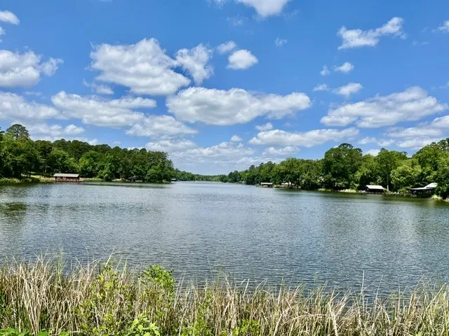 Single Family Residence For Sale in Wood County , 717 private road 6665, Mineola, Texas 75773, 2 Bedroom, 2 Bathroom, 4 Garage spaces, 2,042 Sqft, built in 1994, mls#21264825, Real Estate Agent in Mineola, Homes For Sale in Wood county, Homes For Sale in Mineola, Realtor in Mineola Texas, Real Estate Brokerage Independent Realty Texas, Luminita Cordes Realtor