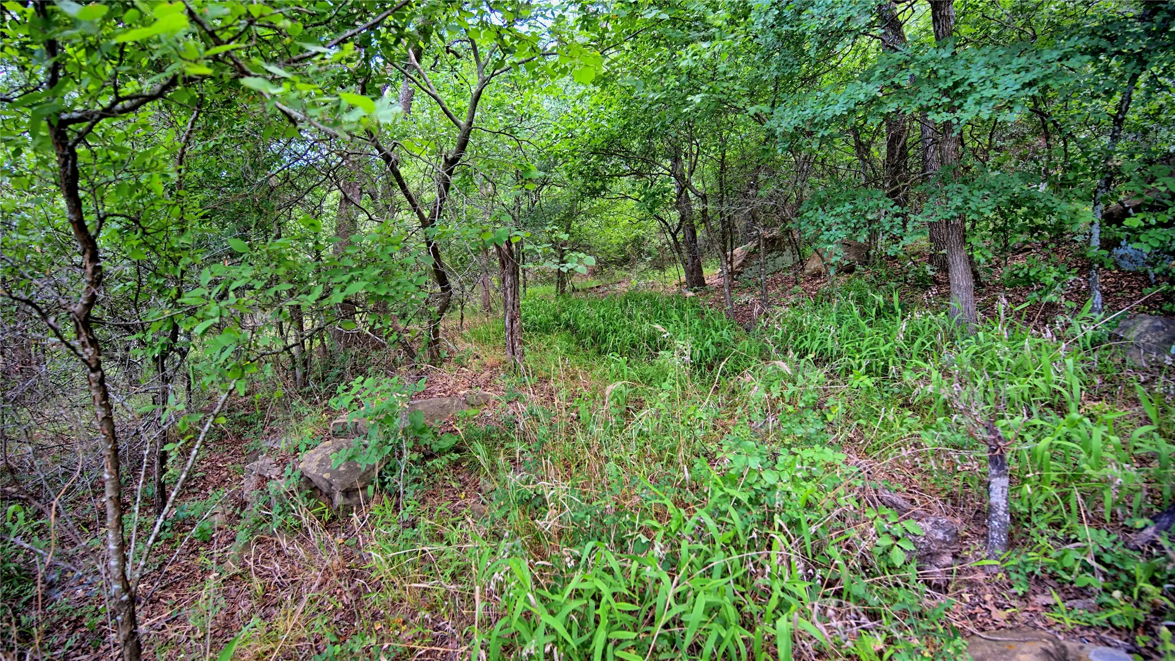 Unimproved Land For Sale in Montague County , TBD Scenic Hill Drive, Bowie, Texas 76230, 0, 0, Garage spaces, 0 Sqft, built in 0, Price $285,000, mls#21275075, Real Estate Agent in Bowie, Homes For Sale in Montague county, Homes For Sale in Bowie, Realtor in Bowie Texas, Real Estate Brokerage Independent Realty Texas, Luminita Cordes Realtor
