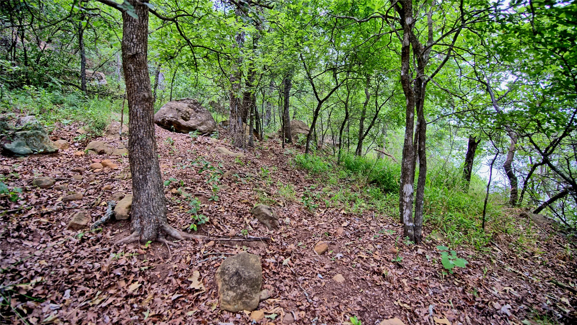 Unimproved Land For Sale in Montague County , TBD Scenic Hill Drive, Bowie, Texas 76230, 0, 0, Garage spaces, 0 Sqft, built in 0, Price $285,000, mls#21275075, Real Estate Agent in Bowie, Homes For Sale in Montague county, Homes For Sale in Bowie, Realtor in Bowie Texas, Real Estate Brokerage Independent Realty Texas, Luminita Cordes Realtor
