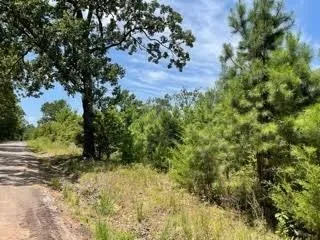 Unimproved Land For Sale in Camp County , LOT 5 FM 556, Pittsburg, Texas 75686, 0, 0, Garage spaces, 0 Sqft, built in 0, Price $35,000, mls#21275118, Real Estate Agent in Pittsburg, Homes For Sale in Camp county, Homes For Sale in Pittsburg, Realtor in Pittsburg Texas, Real Estate Brokerage Independent Realty Texas, Luminita Cordes Realtor