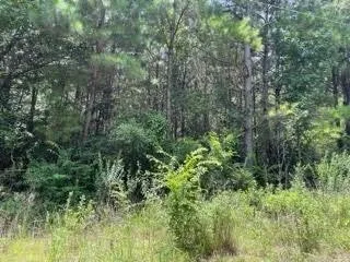 Unimproved Land For Sale in Camp County , LOT 5 FM 556, Pittsburg, Texas 75686, 0, 0, Garage spaces, 0 Sqft, built in 0, Price $35,000, mls#21275118, Real Estate Agent in Pittsburg, Homes For Sale in Camp county, Homes For Sale in Pittsburg, Realtor in Pittsburg Texas, Real Estate Brokerage Independent Realty Texas, Luminita Cordes Realtor
