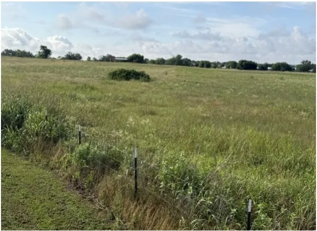 Expansive open field with natural grasses and scattered shrubbery