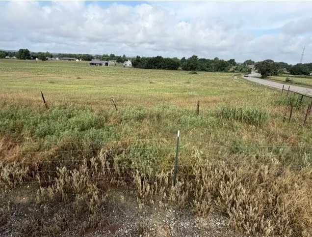Expansive open land with varied natural vegetation and scattered trees