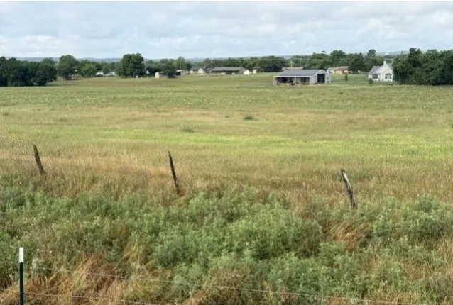 Expansive open field with natural vegetation