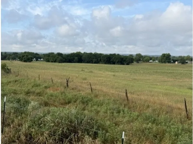 Expansive open acreage featuring varied green and brown grasses