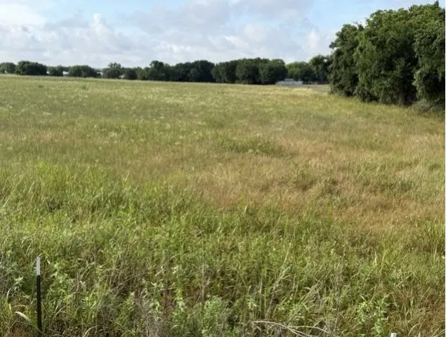 Expansive undeveloped parcel featuring natural grasses and mature perimeter trees
