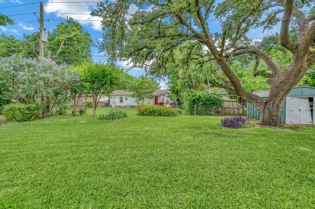 Back Yard