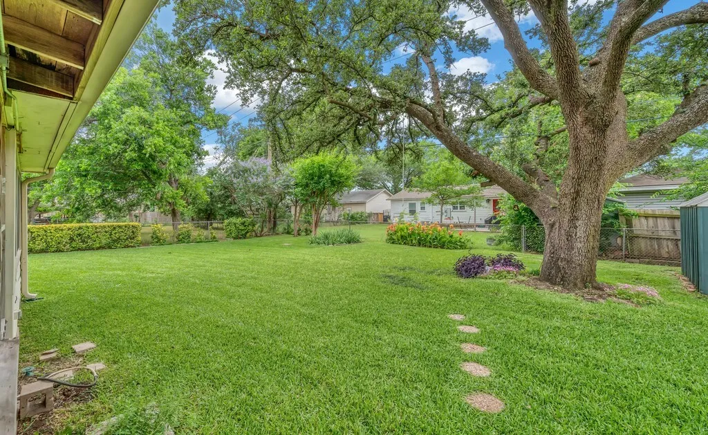 Back Yard