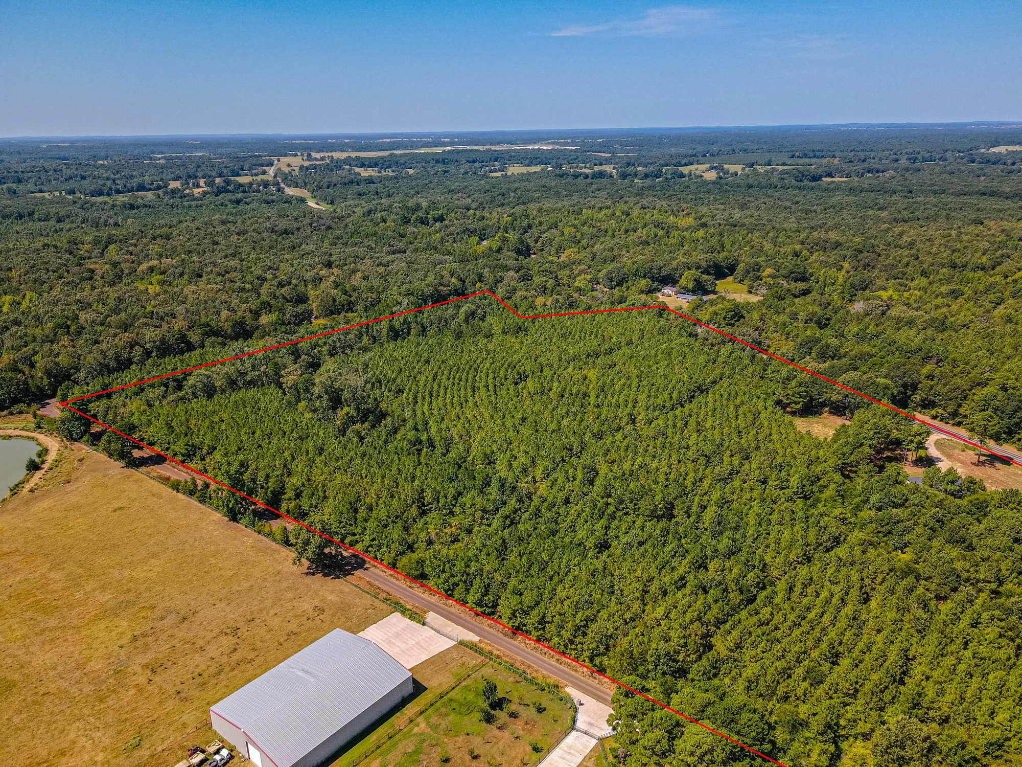 Unimproved Land For Sale in Camp County , LOT 6 FM 556, Pittsburg, Texas 75686, 0, 0, Garage spaces, 0 Sqft, built in 0, mls#21275135, Real Estate Agent in Pittsburg, Homes For Sale in Camp county, Homes For Sale in Pittsburg, Realtor in Pittsburg Texas, Real Estate Brokerage Independent Realty Texas, Luminita Cordes Realtor