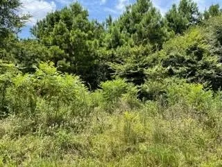 Unimproved Land For Sale in Camp County , LOT 6 FM 556, Pittsburg, Texas 75686, 0, 0, Garage spaces, 0 Sqft, built in 0, mls#21275135, Real Estate Agent in Pittsburg, Homes For Sale in Camp county, Homes For Sale in Pittsburg, Realtor in Pittsburg Texas, Real Estate Brokerage Independent Realty Texas, Luminita Cordes Realtor