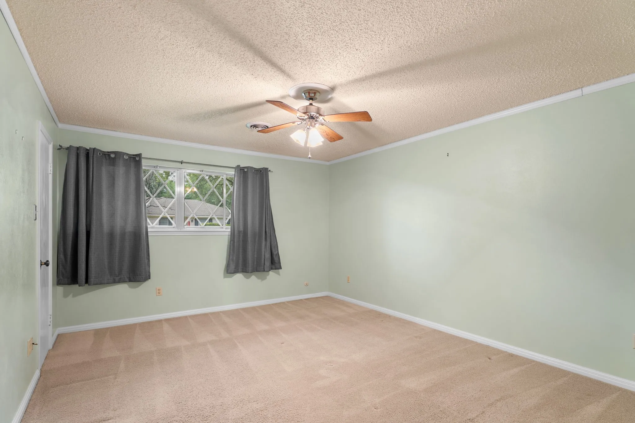 Carpeted interior room featuring light green walls and white trim