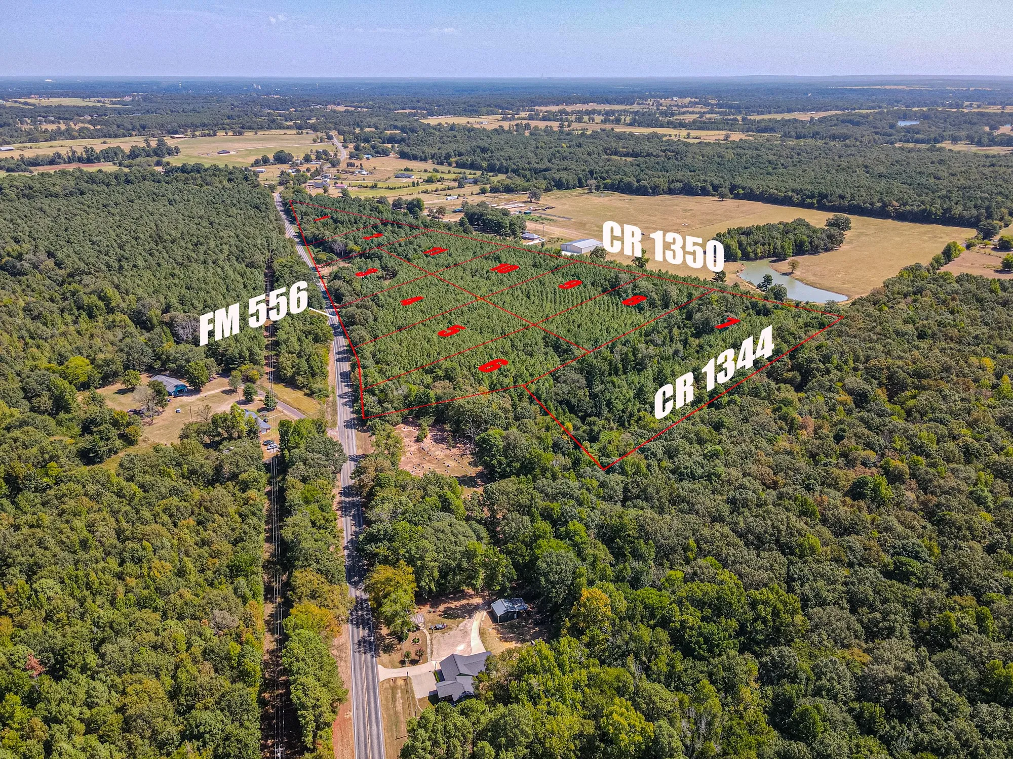 Unimproved Land For Sale in Camp County , LOT 9 FM 556, Pittsburg, Texas 75686, 0, 0, Garage spaces, 0 Sqft, built in 0, mls#21275226, Real Estate Agent in Pittsburg, Homes For Sale in Camp county, Homes For Sale in Pittsburg, Realtor in Pittsburg Texas, Real Estate Brokerage Independent Realty Texas, Luminita Cordes Realtor
