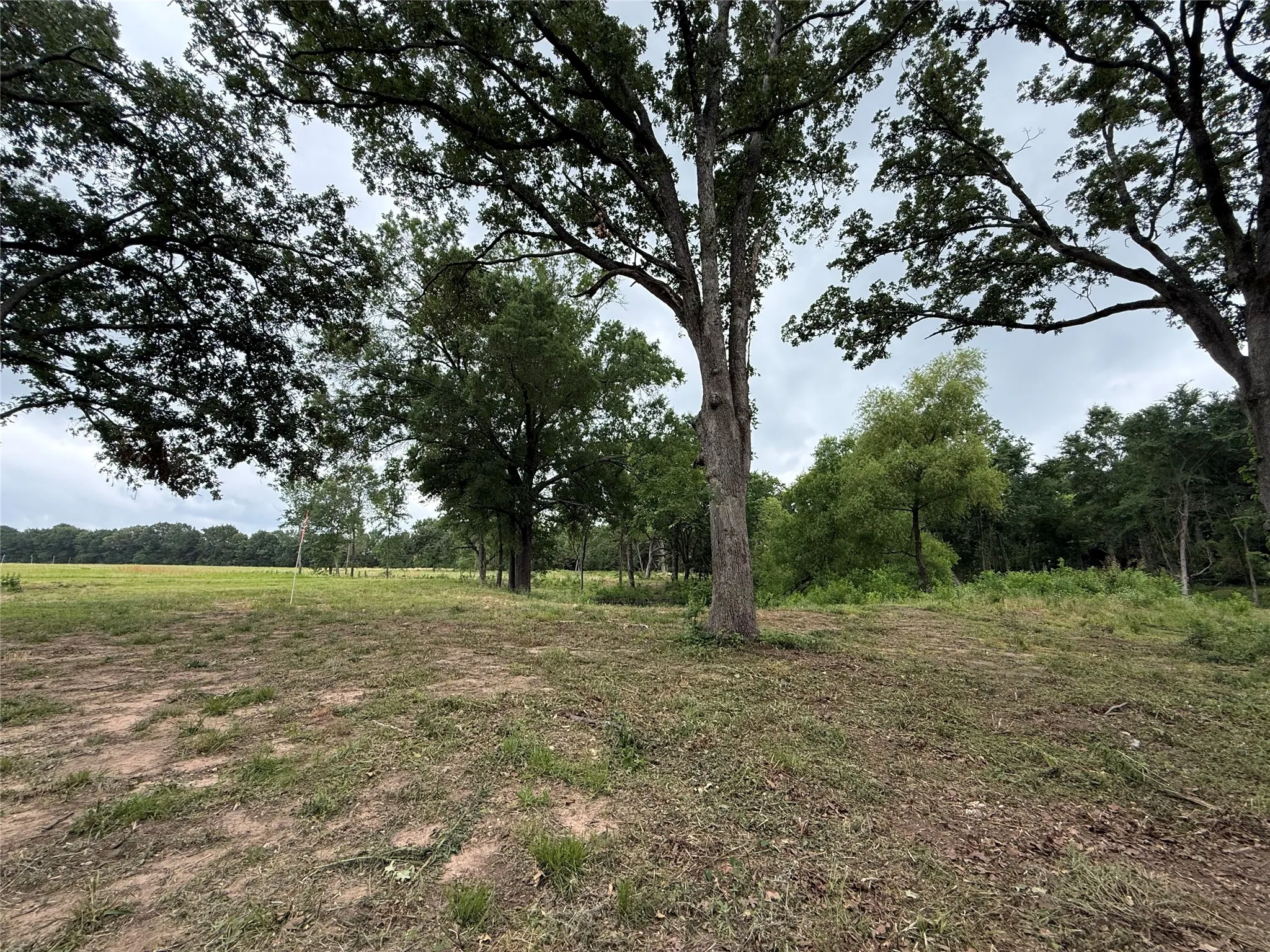 Unimproved Land For Sale in Van Zandt County , 200 Livingston Street, Edgewood, Texas 75117, 0, 0, Garage spaces, 0 Sqft, built in 0, Price $89,900, mls#21269806, Real Estate Agent in Edgewood, Homes For Sale in Van Zandt county, Homes For Sale in Edgewood, Realtor in Edgewood Texas, Real Estate Brokerage Independent Realty Texas, Luminita Cordes Realtor