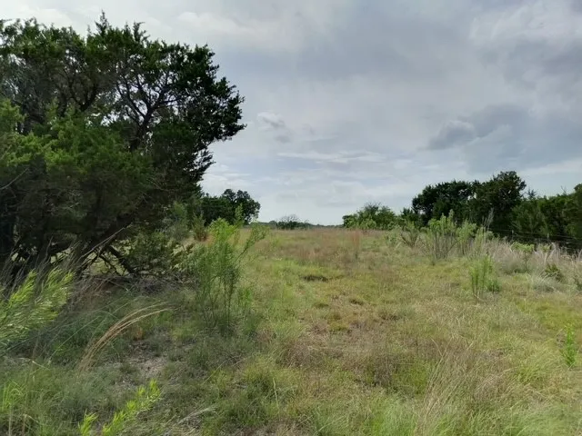 Ranch For Sale in Bosque County , 1249 County Road 2357, Meridian, Texas 76665, 0, 0, Garage spaces, 0 Sqft, built in 0, Price $370,000, mls#21274966, Real Estate Agent in Meridian, Homes For Sale in Bosque county, Homes For Sale in Meridian, Realtor in Meridian Texas, Real Estate Brokerage Independent Realty Texas, Luminita Cordes Realtor