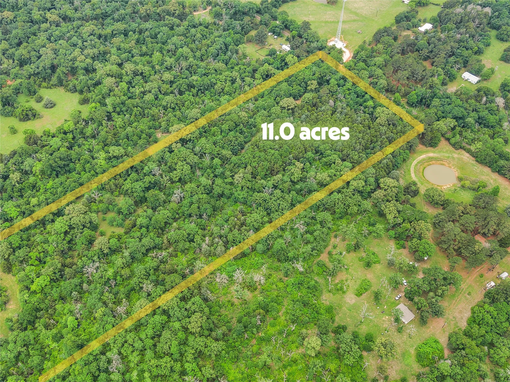 11.0-acre parcel featuring dense tree coverage and a natural pond