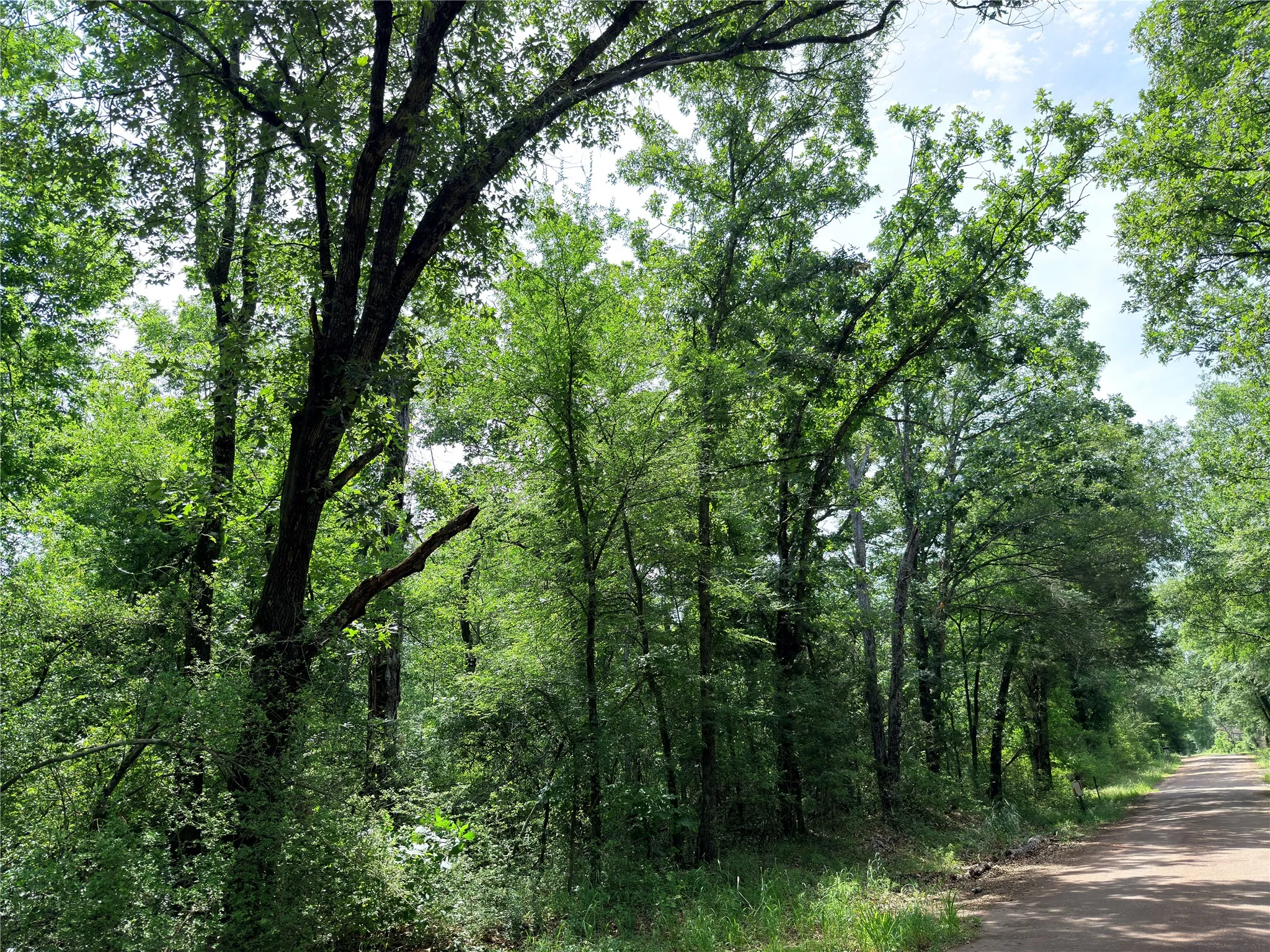 Wooded property featuring mature trees