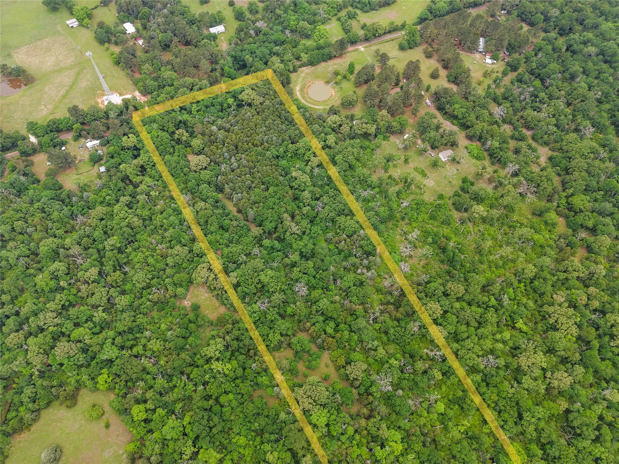 Expansive wooded acreage featuring dense tree cover within property boundaries