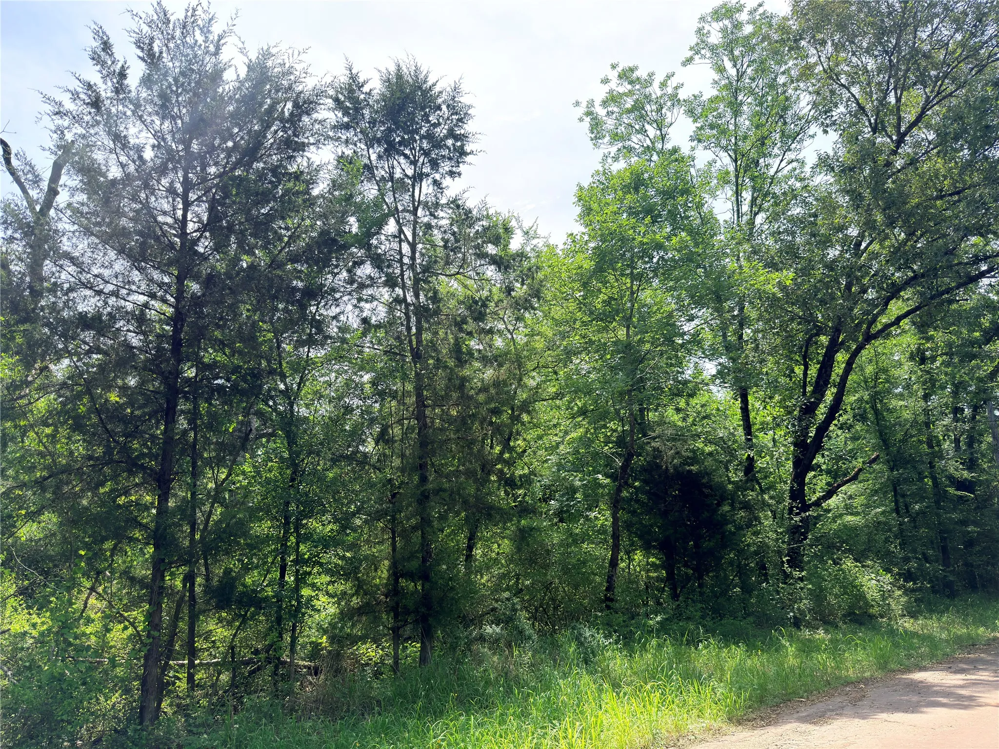 Wooded lot featuring mature trees and natural vegetation