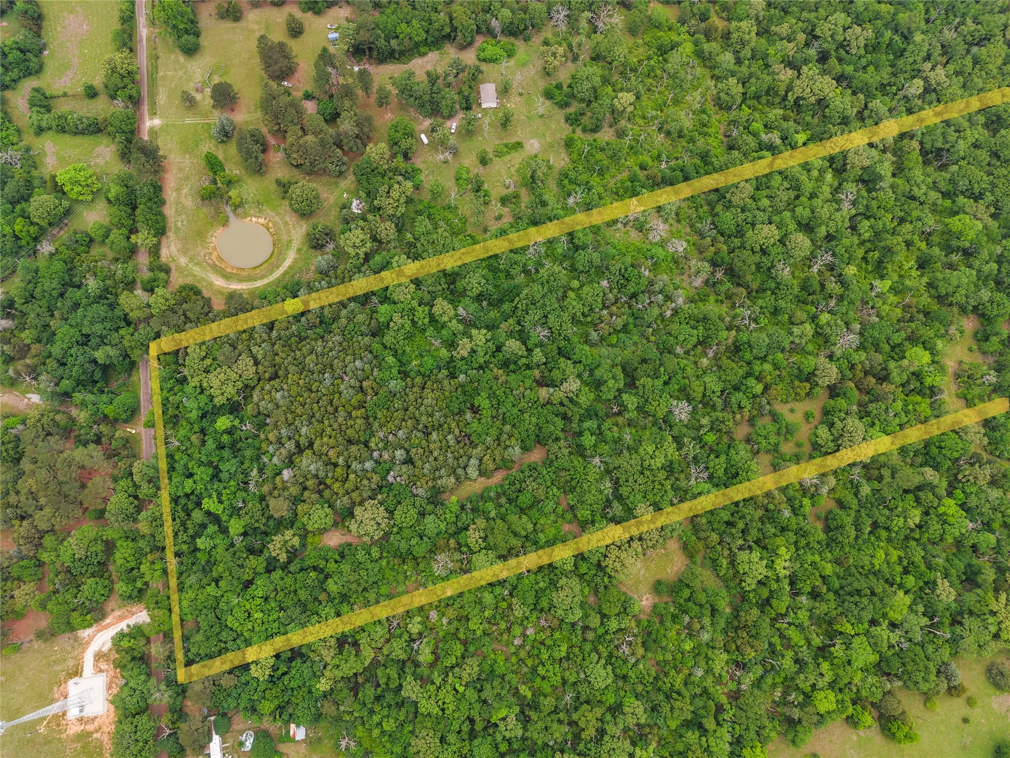Expansive wooded acreage featuring dense tree coverage